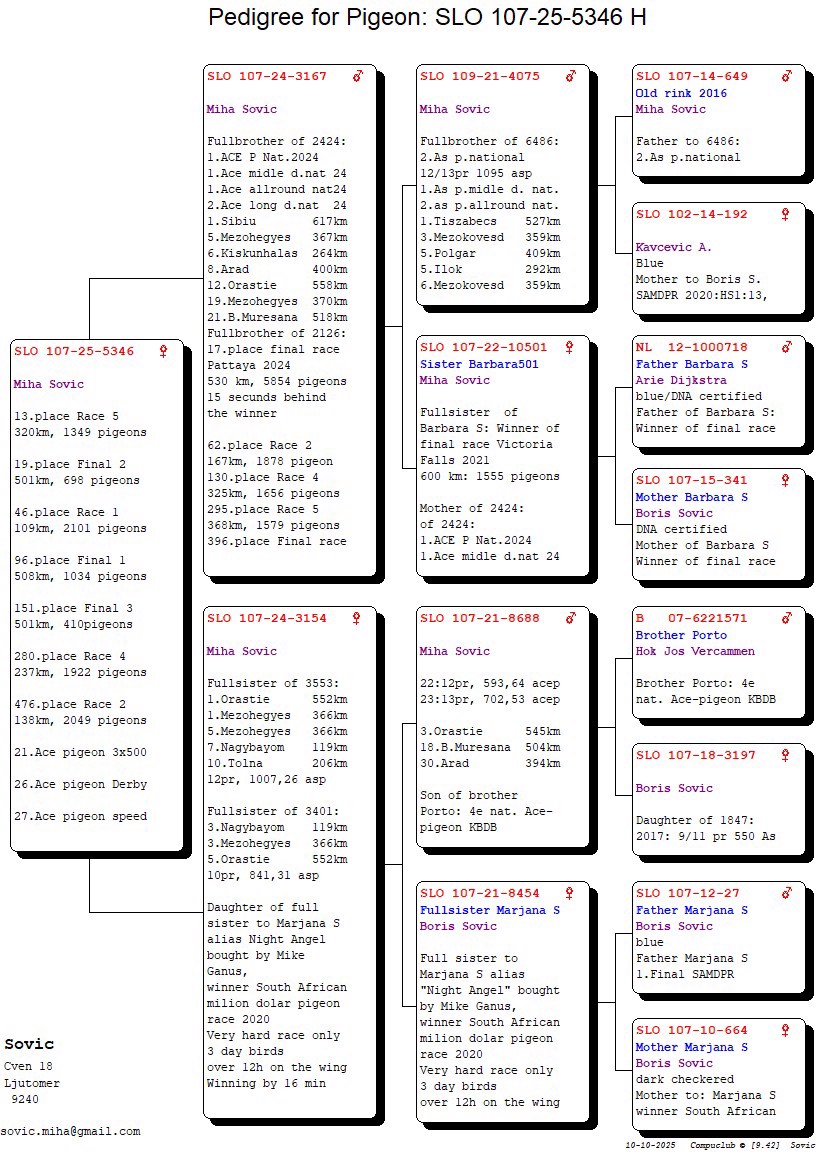 Pigeon pedigree image