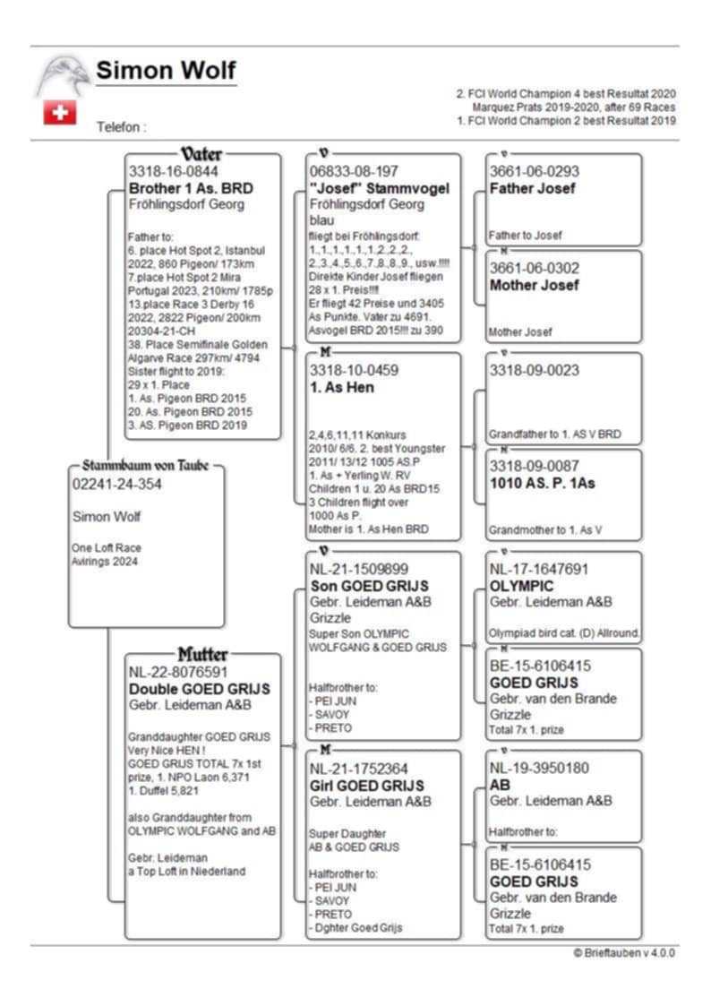 Pigeon pedigree image