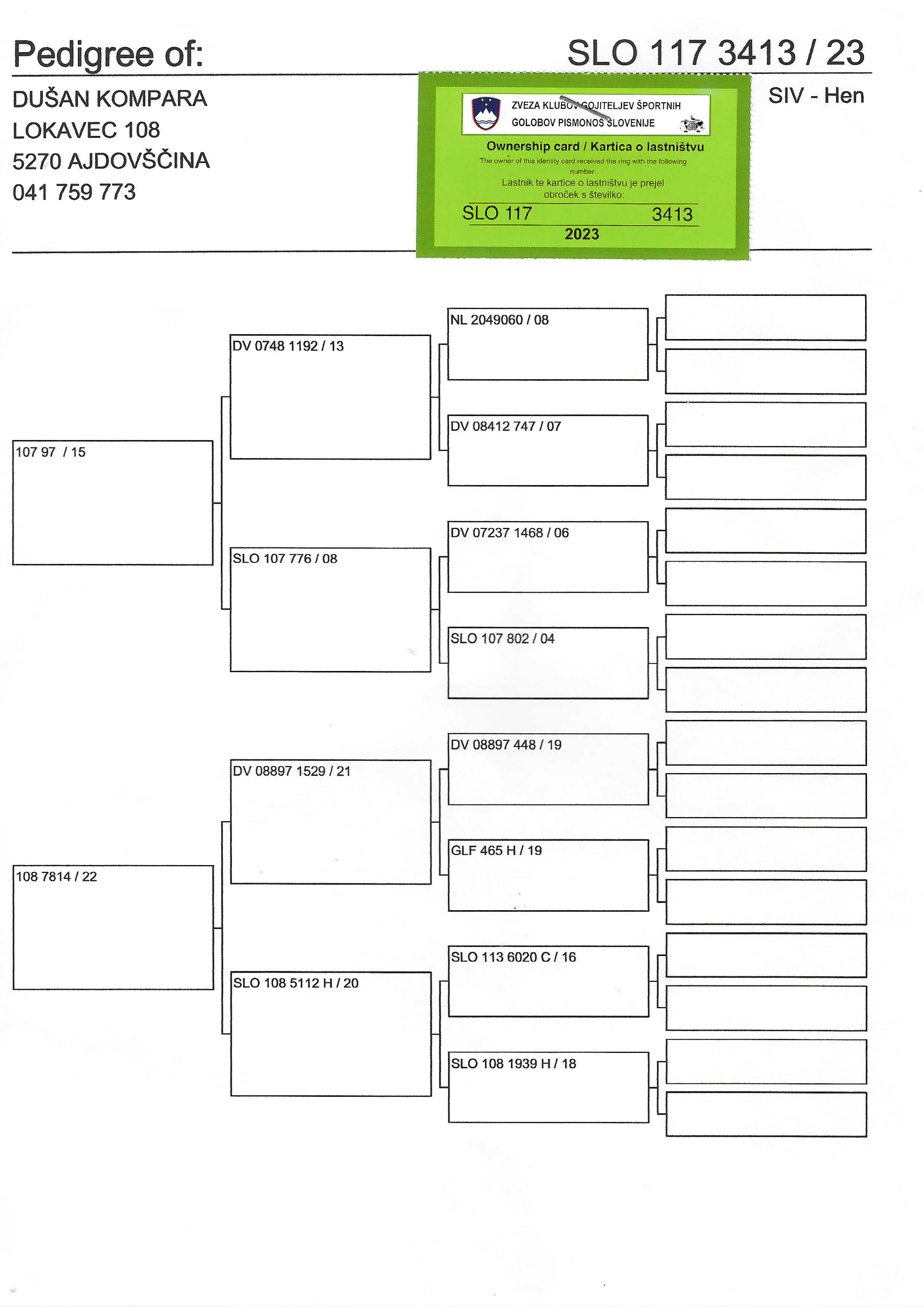 Pigeon pedigree image