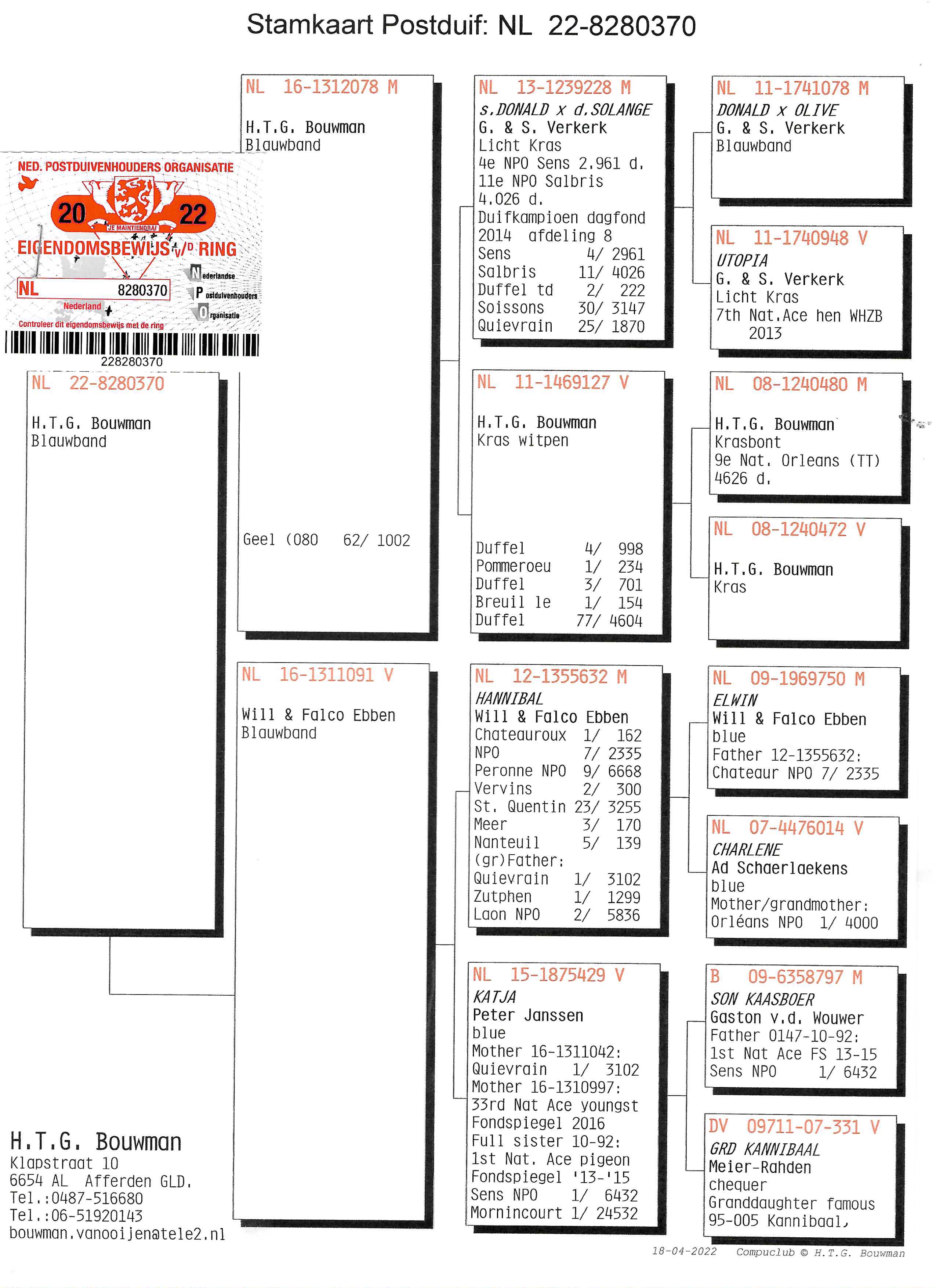 Pigeon pedigree image