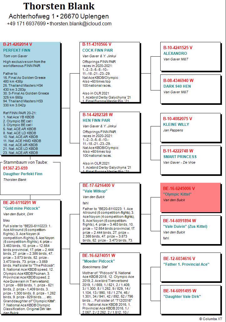 Pigeon pedigree image