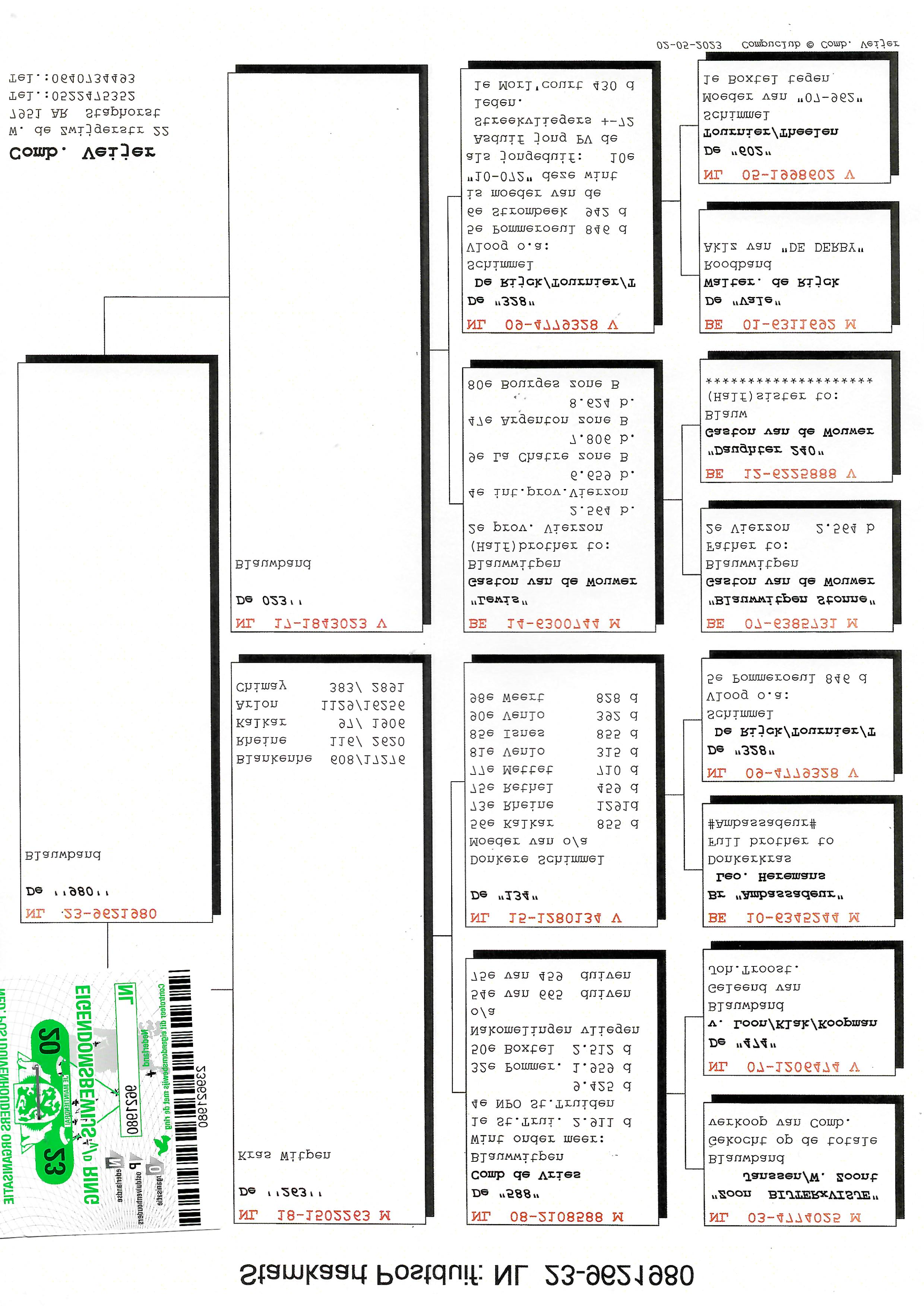 Pigeon pedigree image