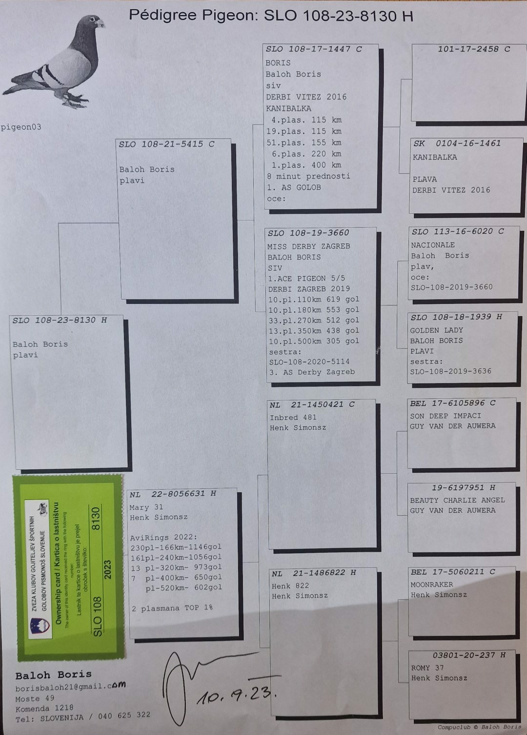 Pigeon pedigree image