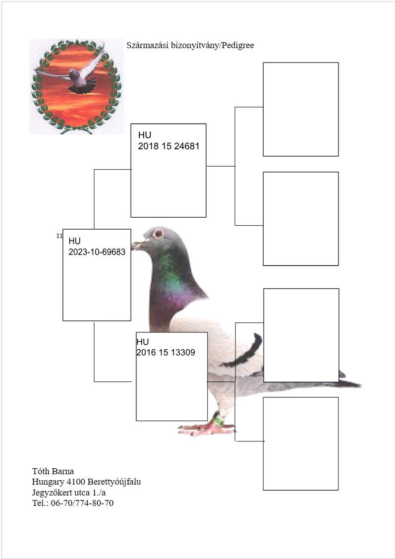 Pigeon pedigree image
