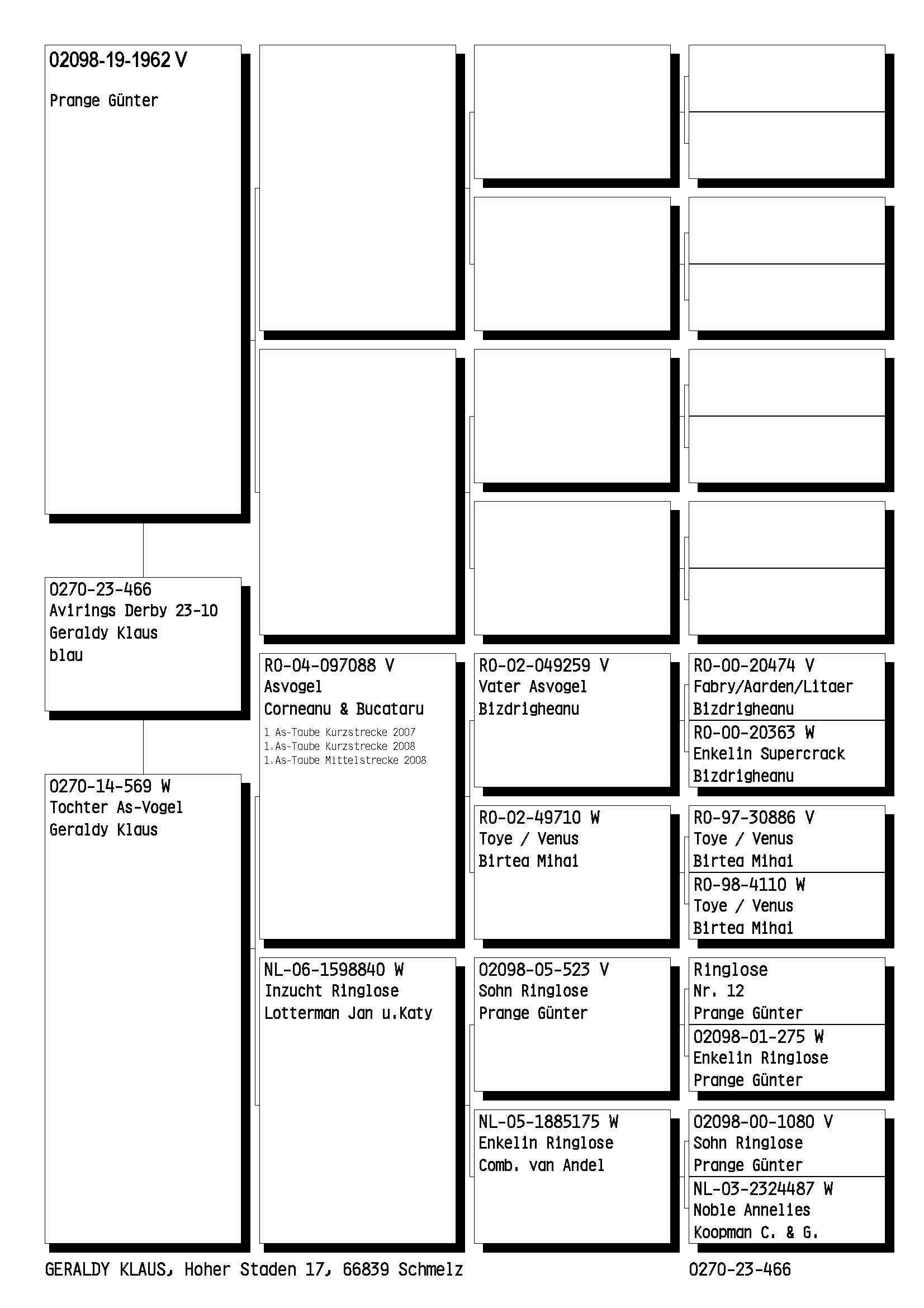 Pigeon pedigree image