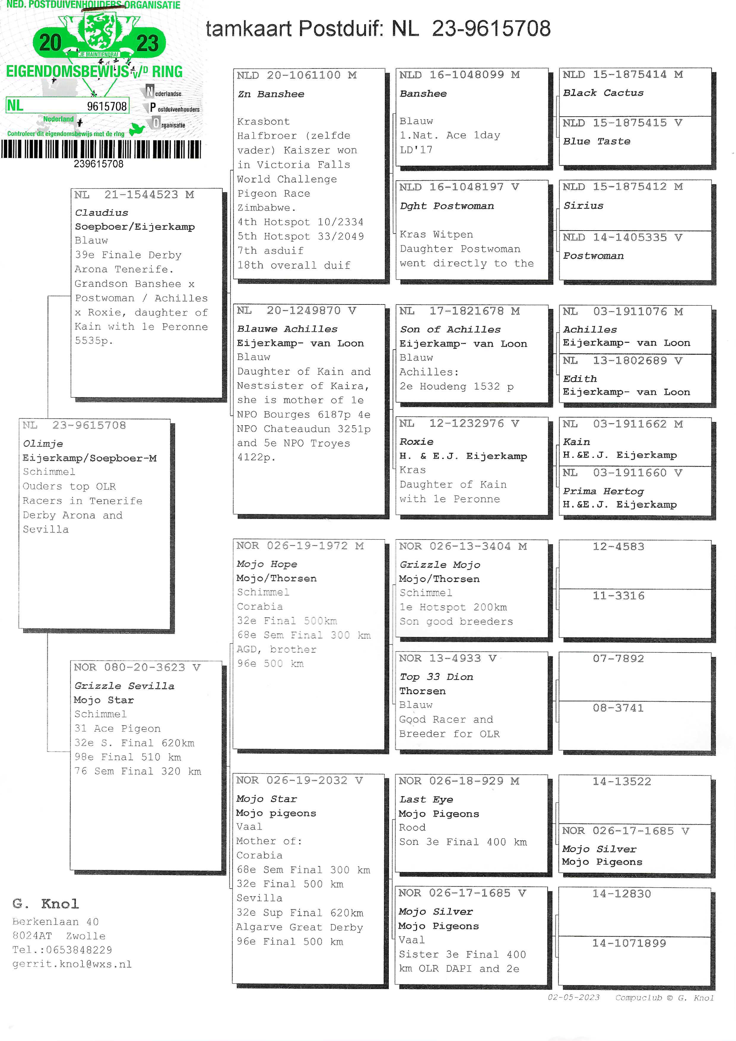 Pigeon pedigree image