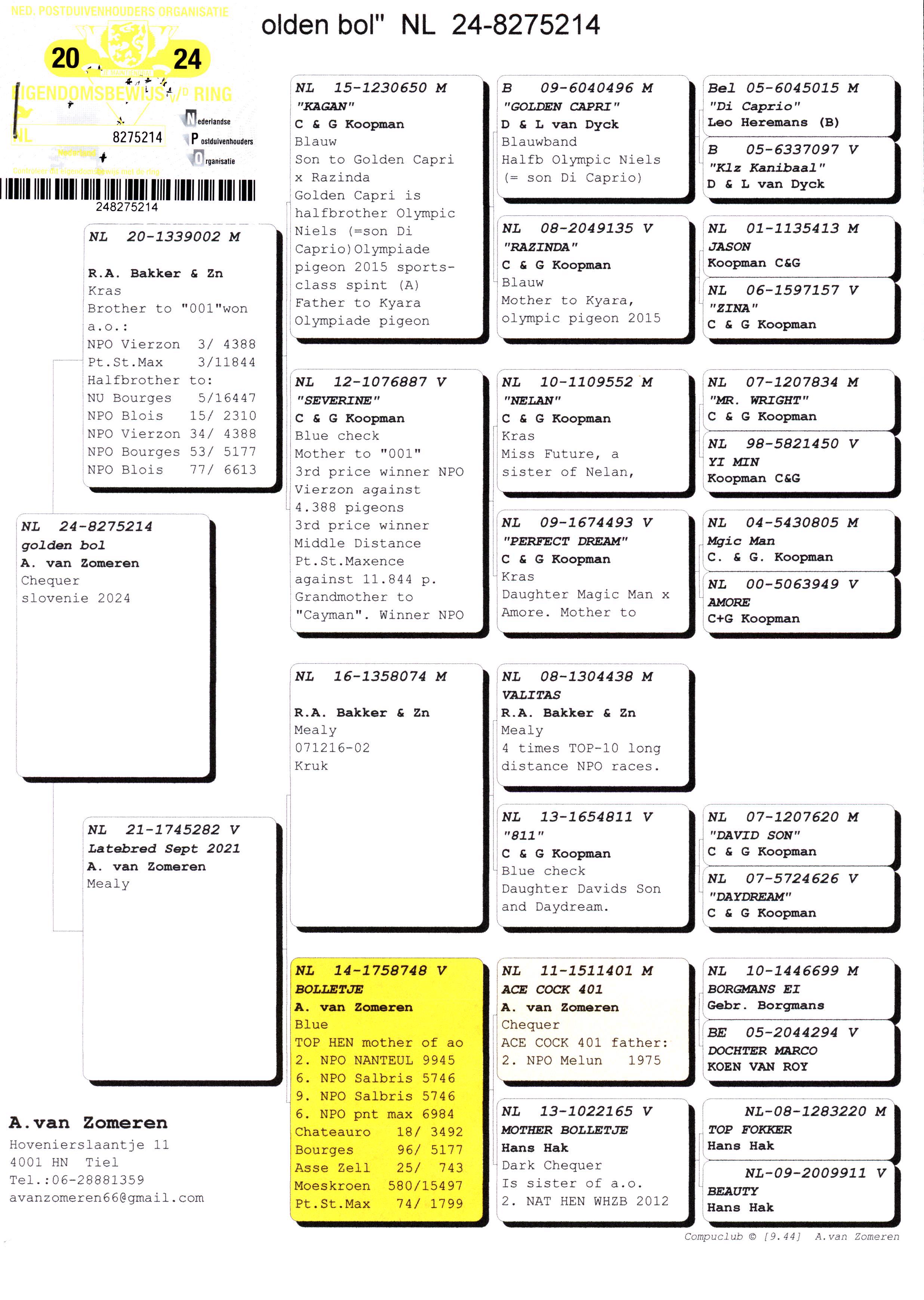 Pigeon pedigree image