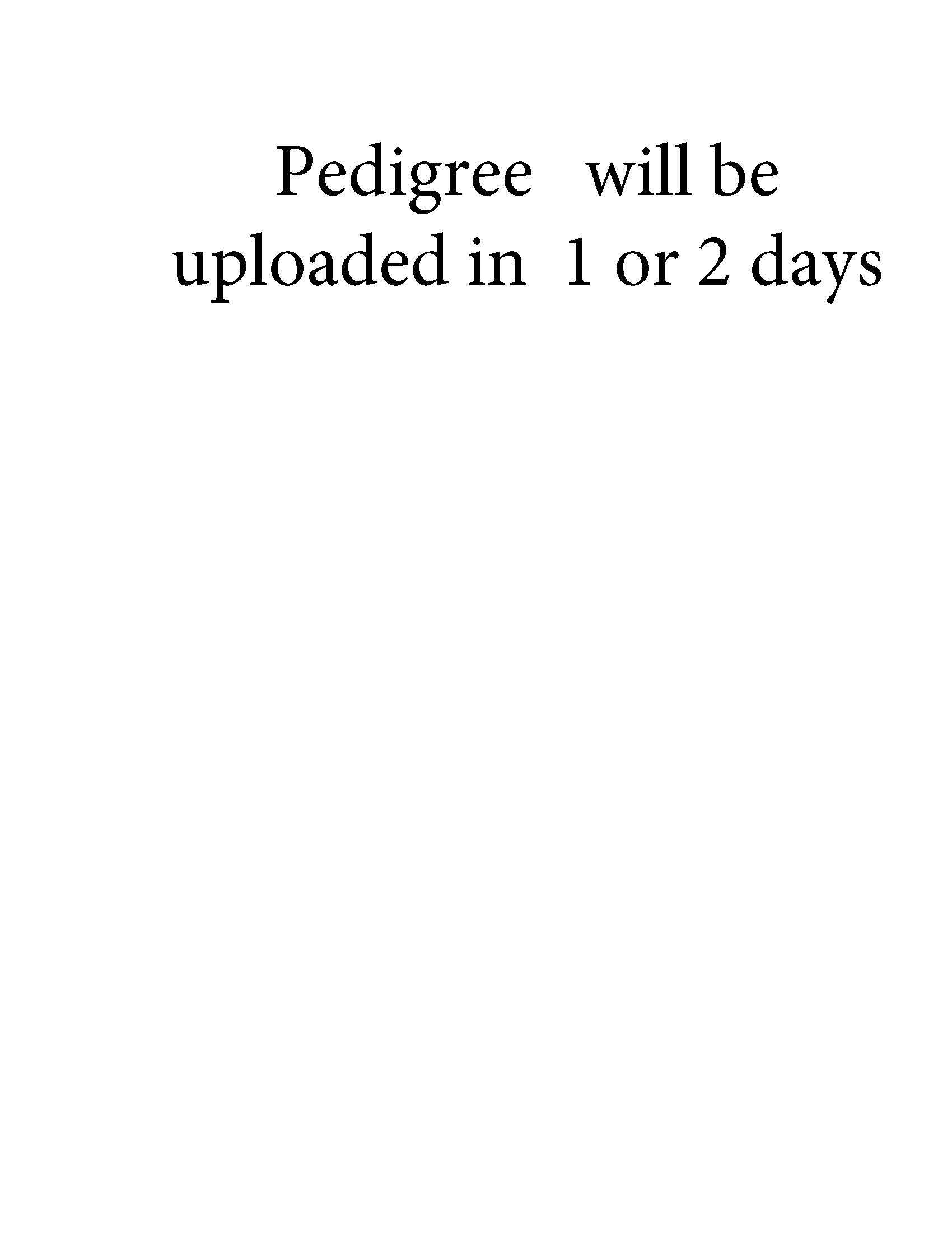 Pigeon pedigree image