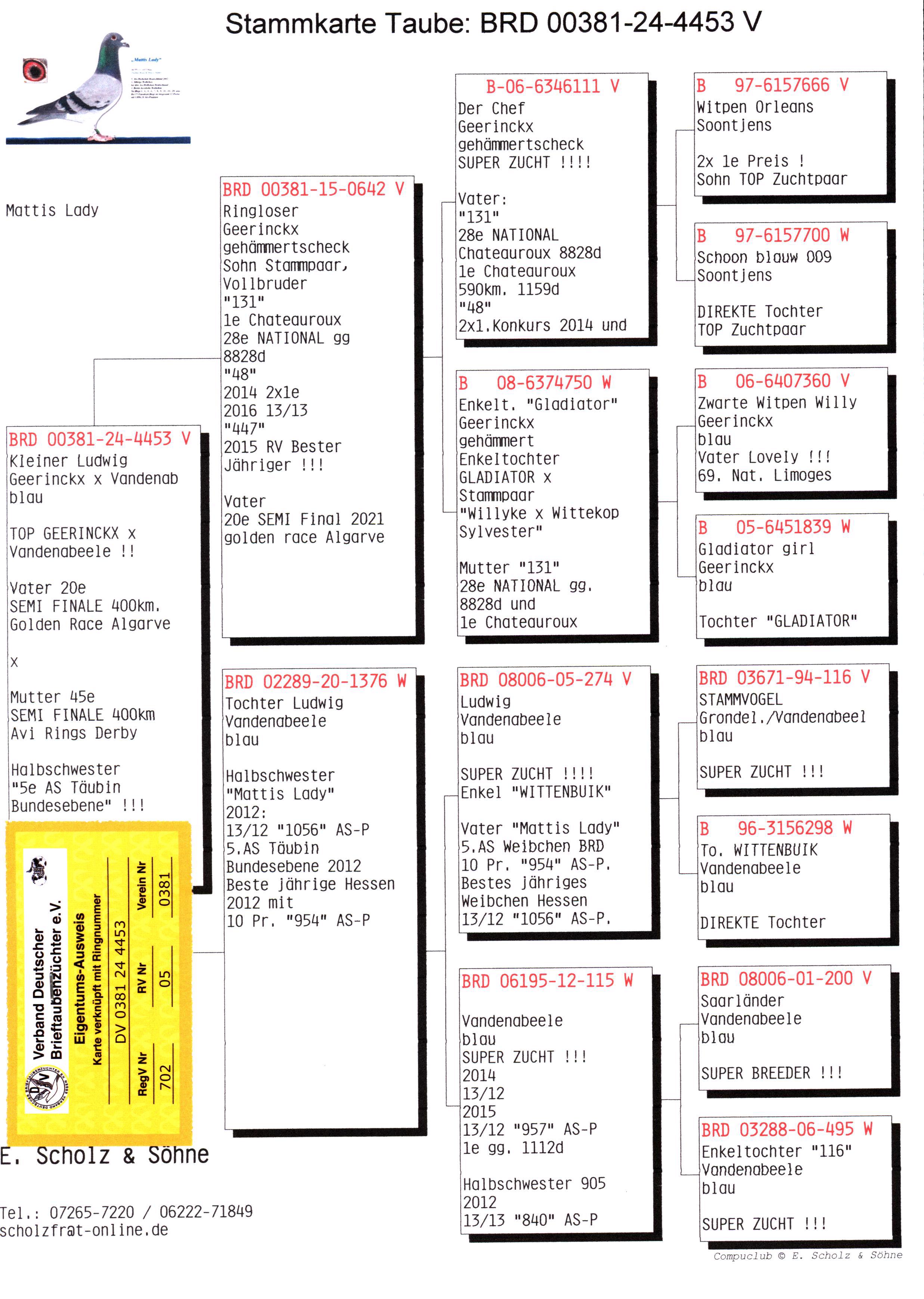 Pigeon pedigree image
