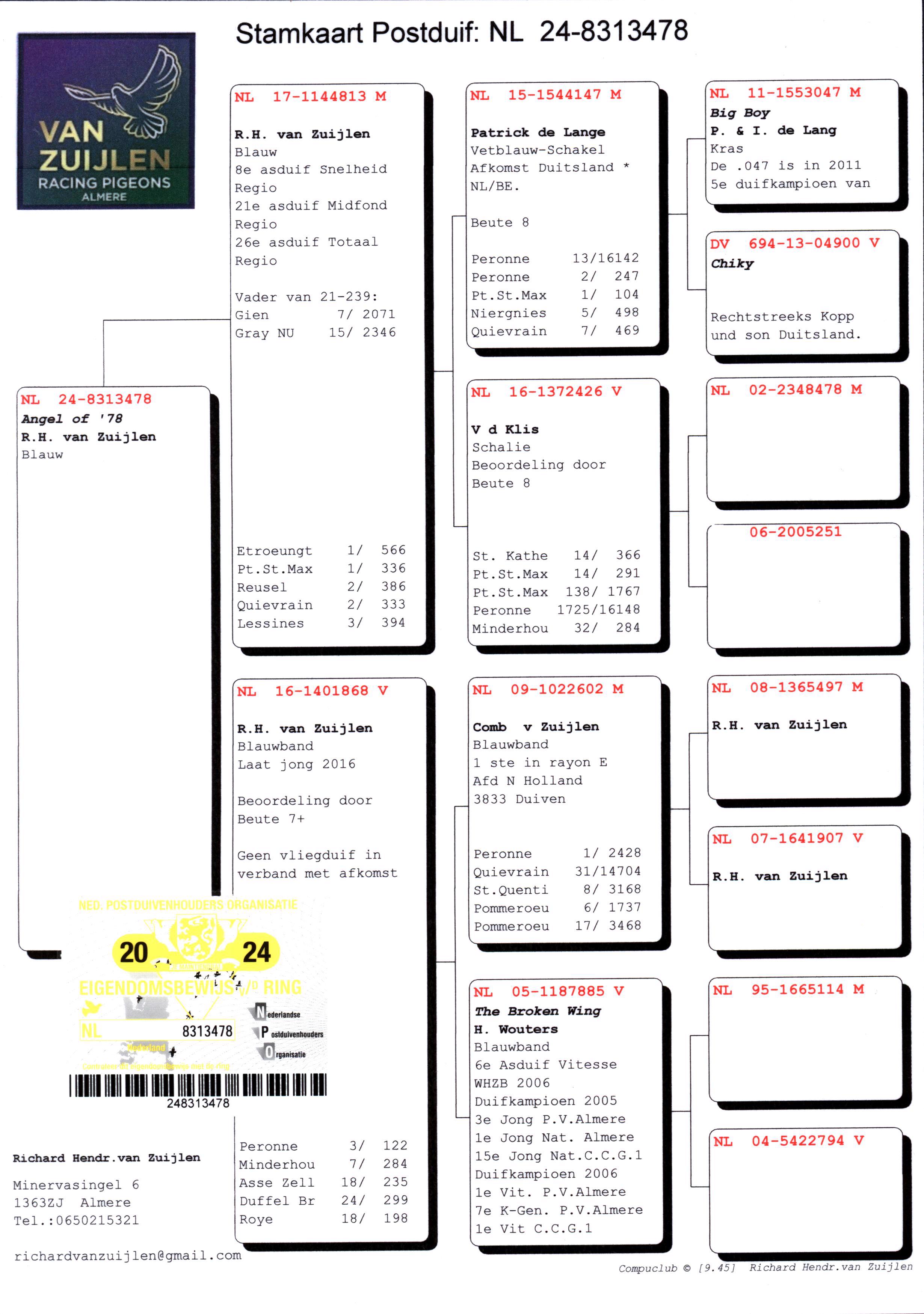 Pigeon pedigree image