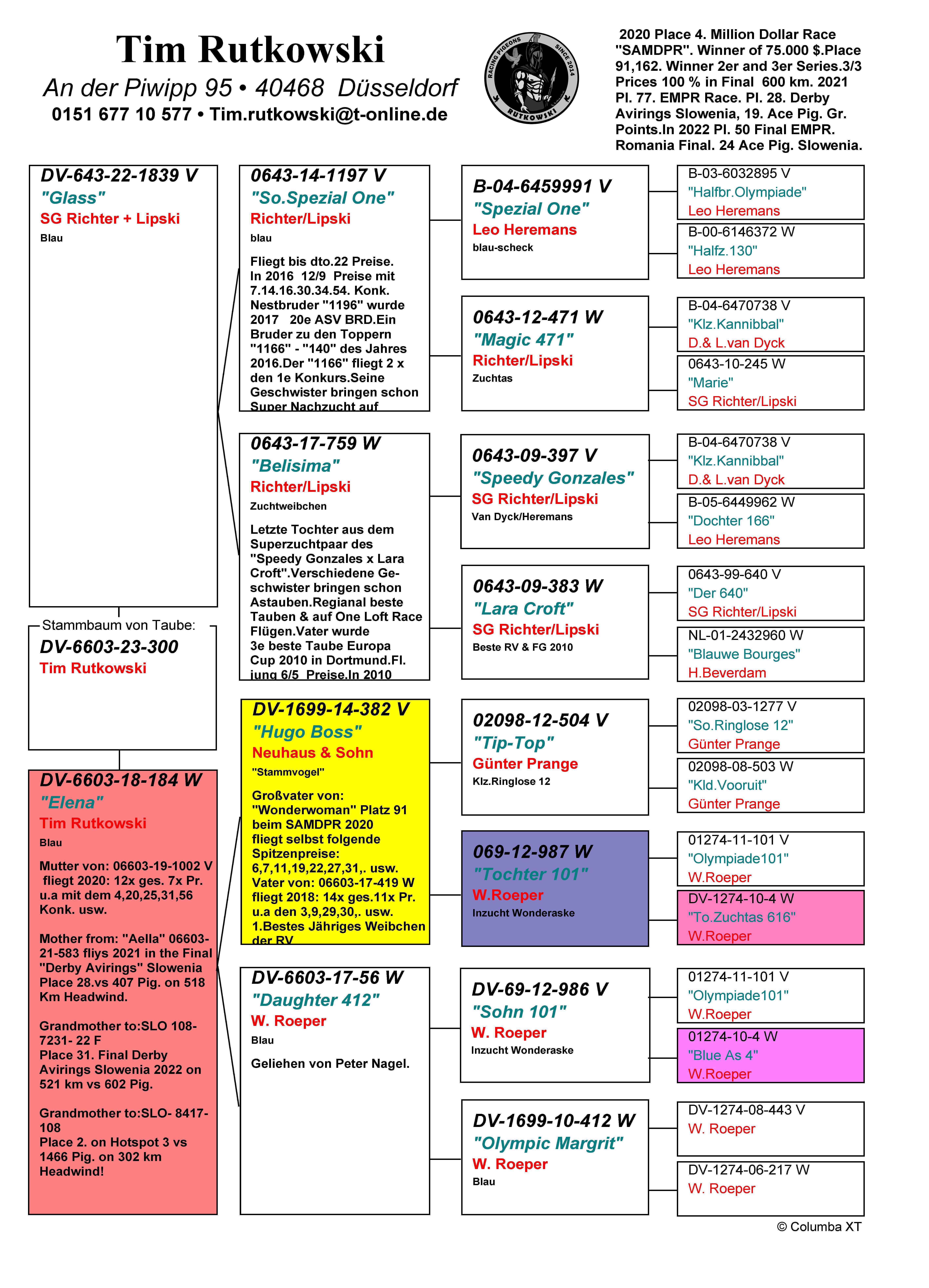 Pigeon pedigree image