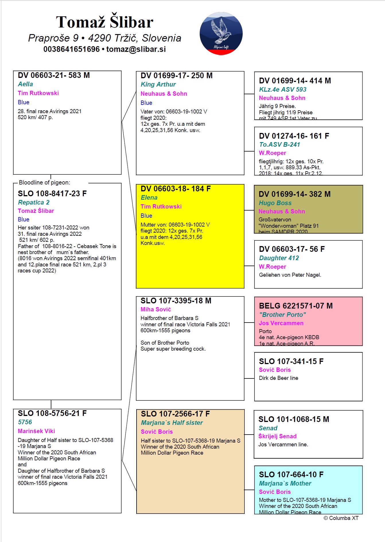 Pigeon pedigree image
