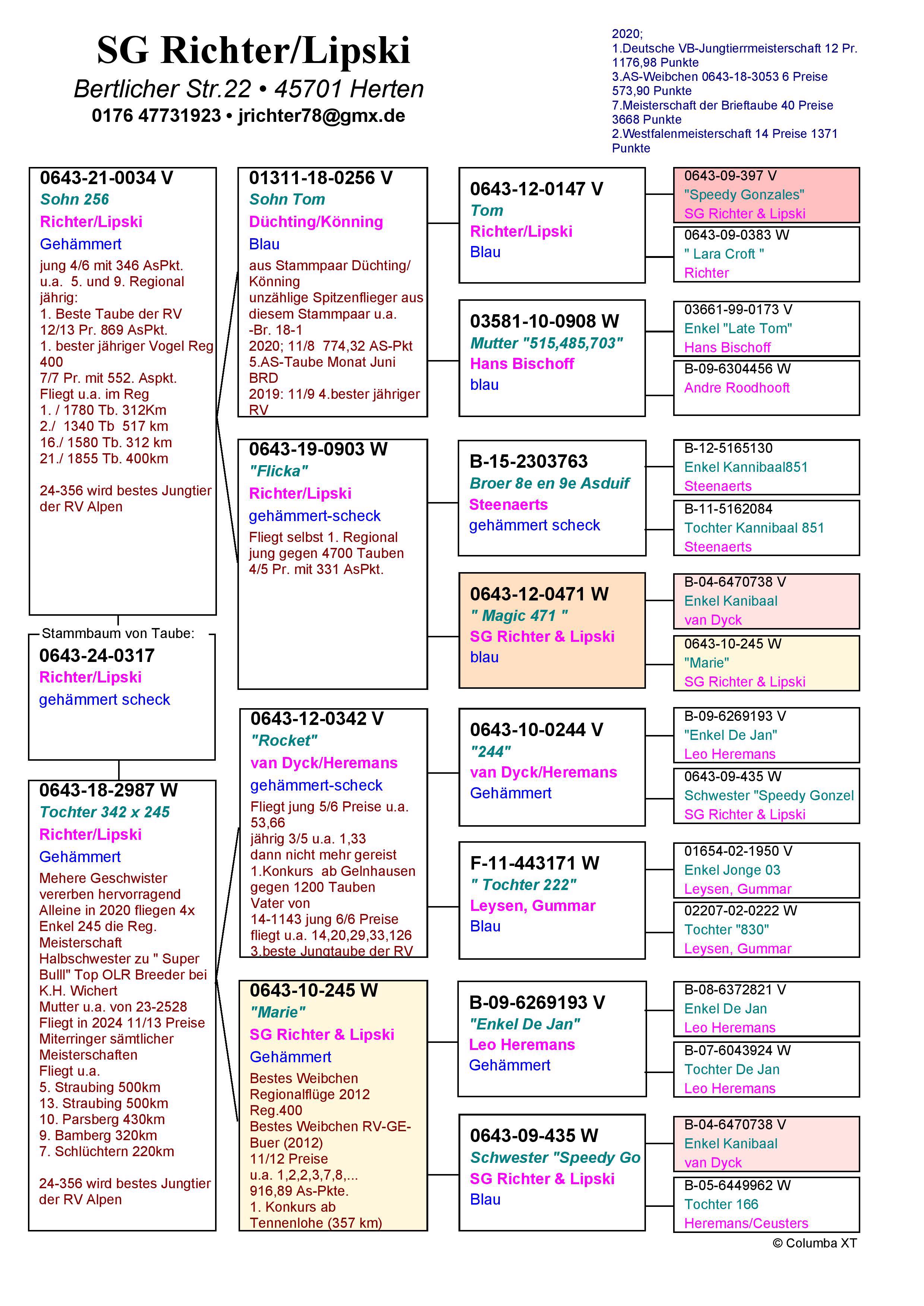 Pigeon pedigree image