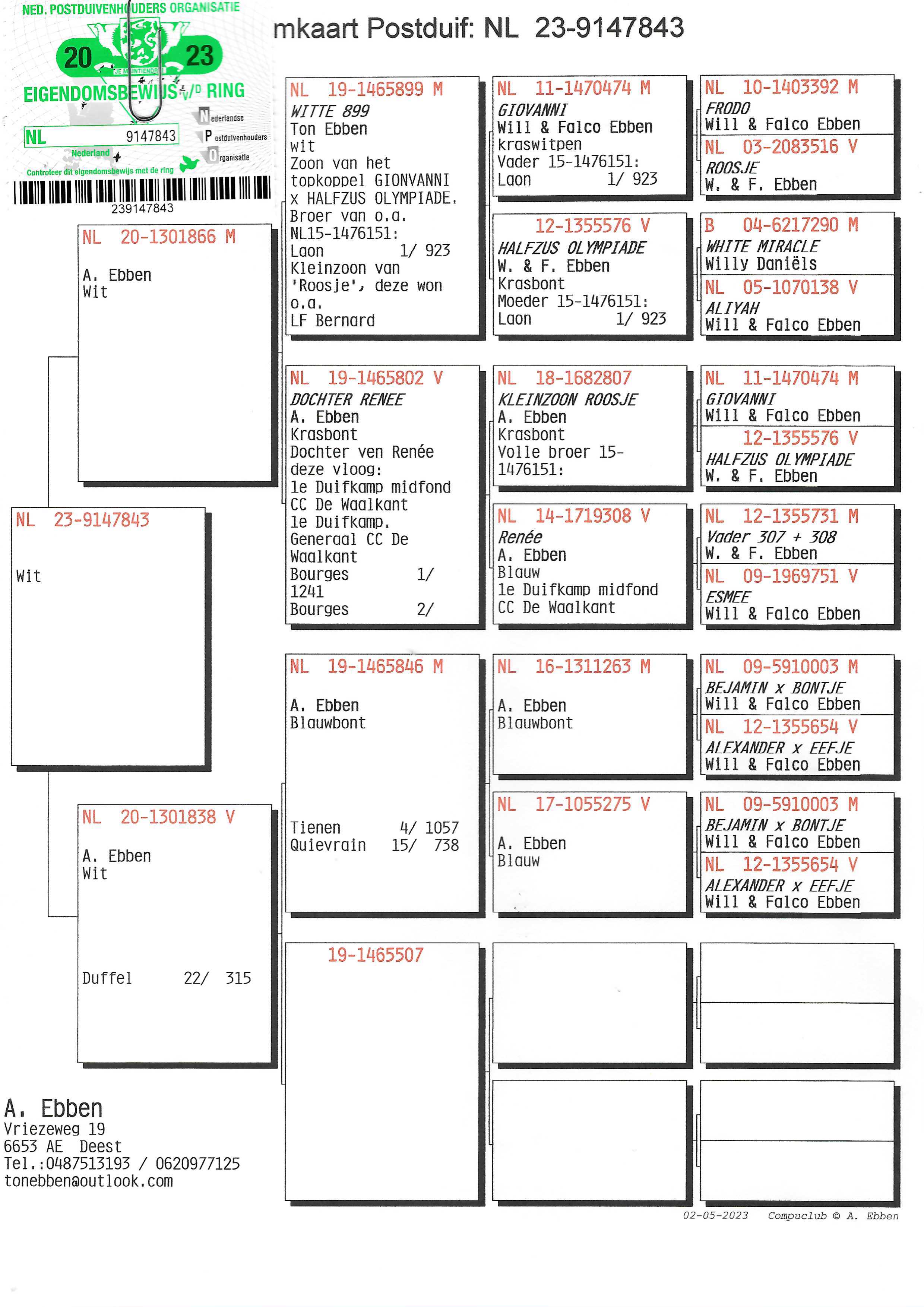 Pigeon pedigree image