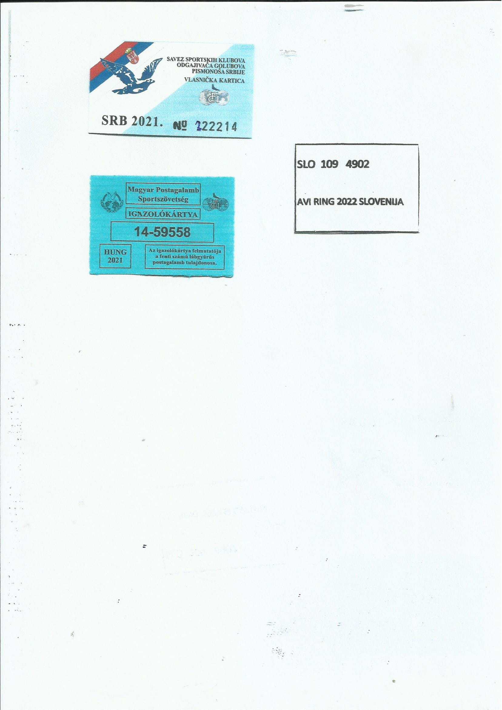 Pigeon pedigree image