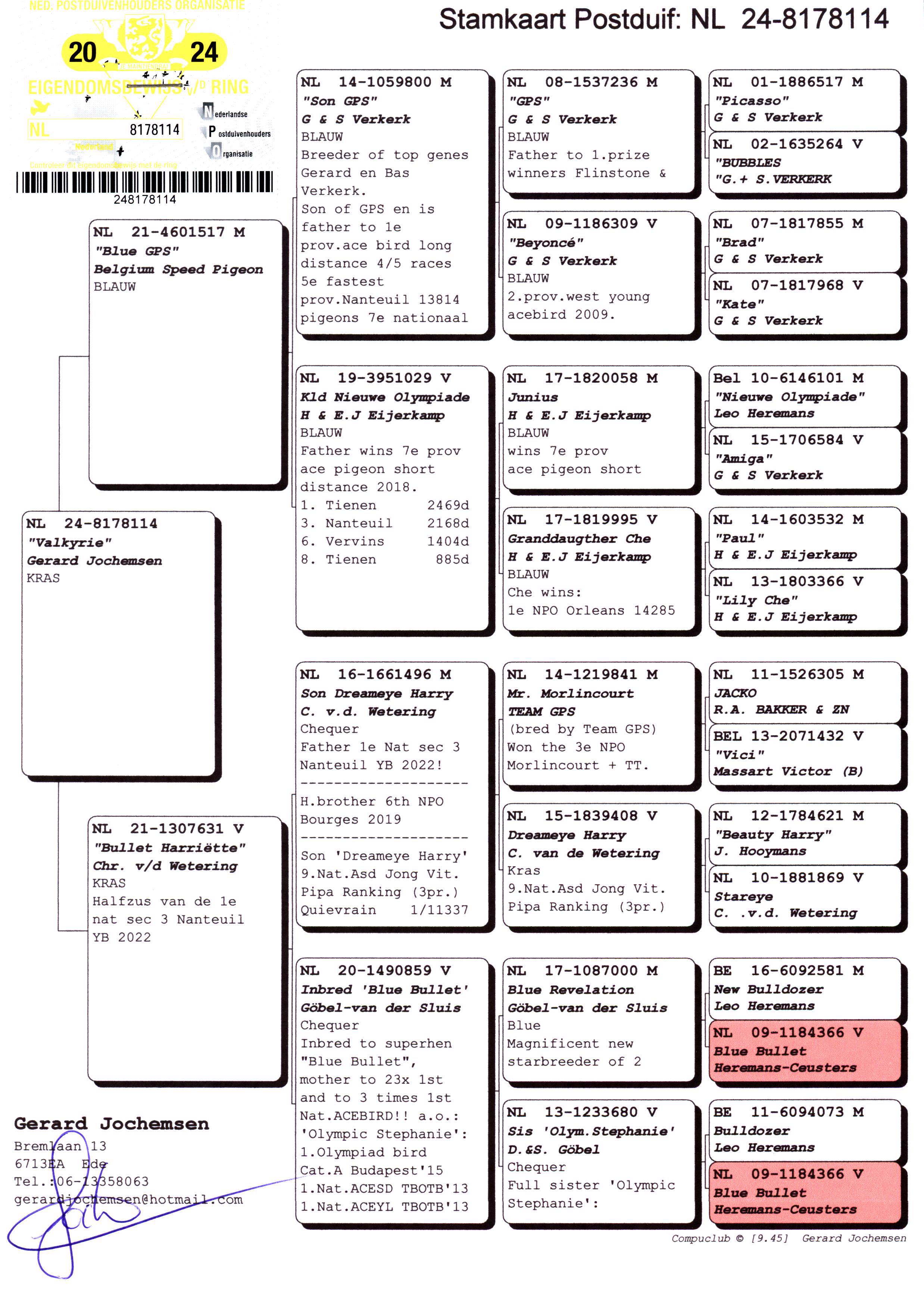 Pigeon pedigree image