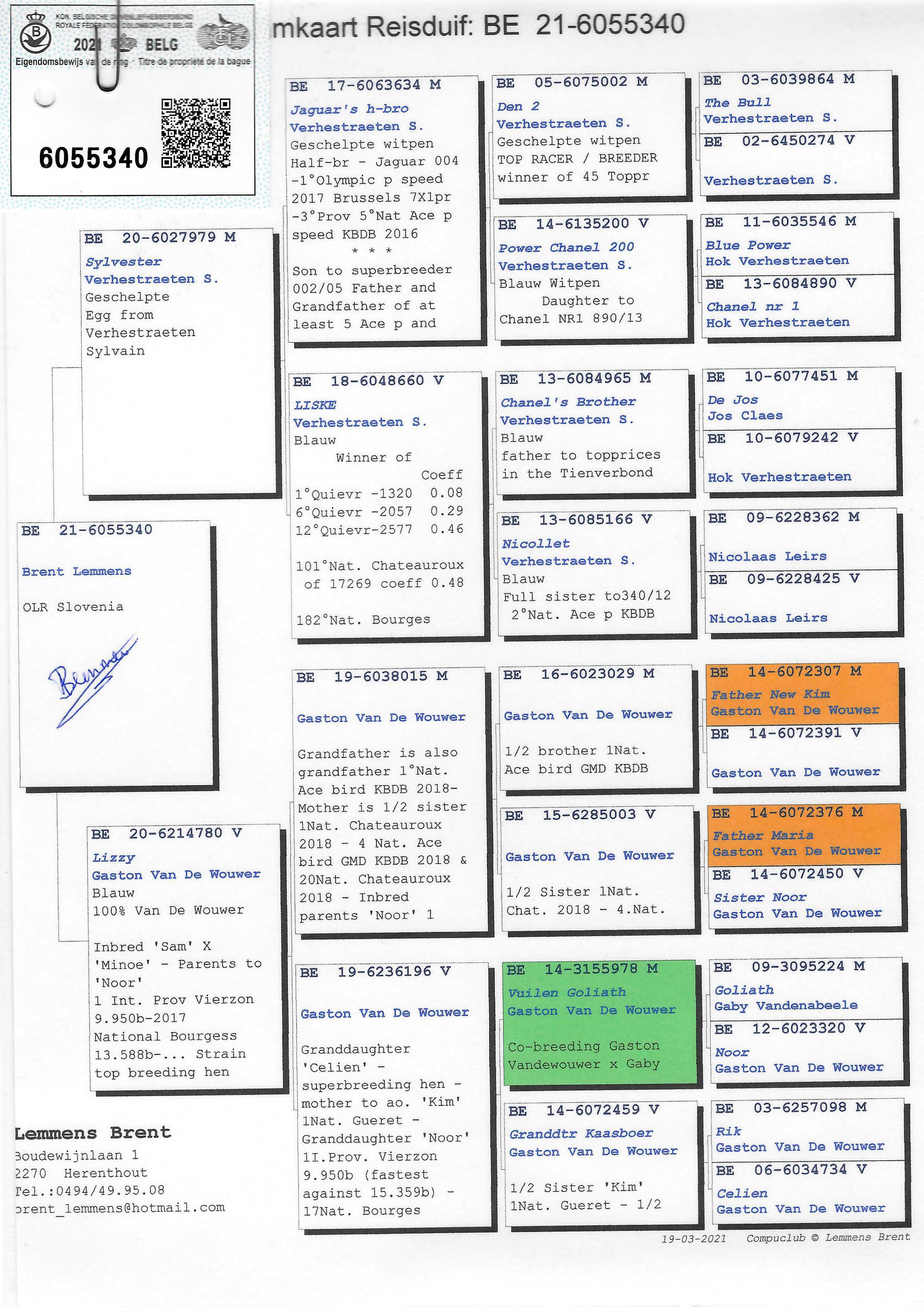 Pigeon pedigree image