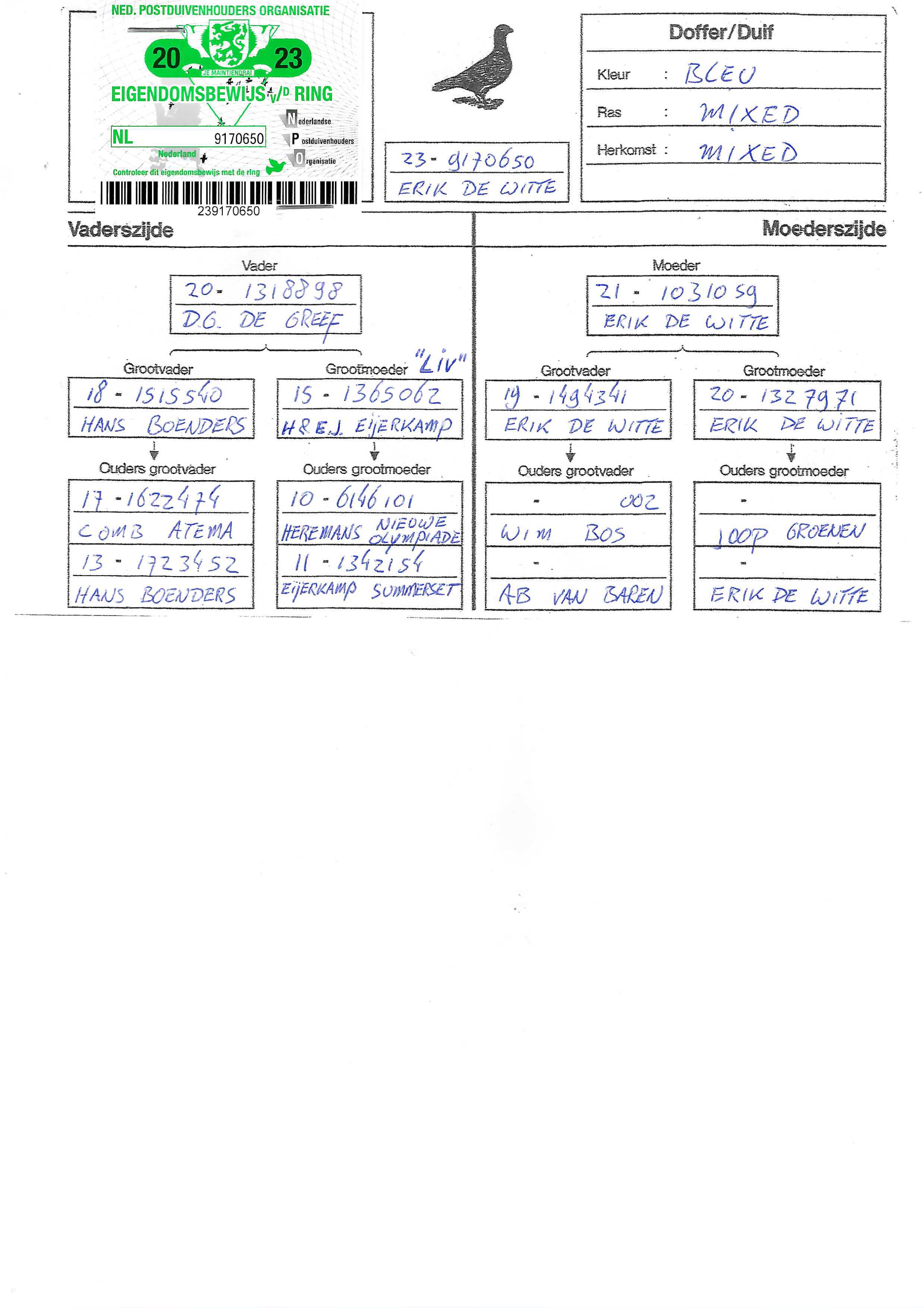 Pigeon pedigree image