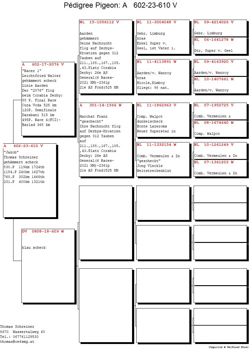 Pigeon pedigree image