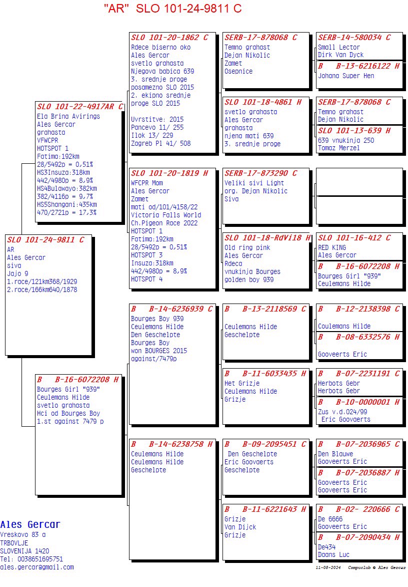 Pigeon pedigree image