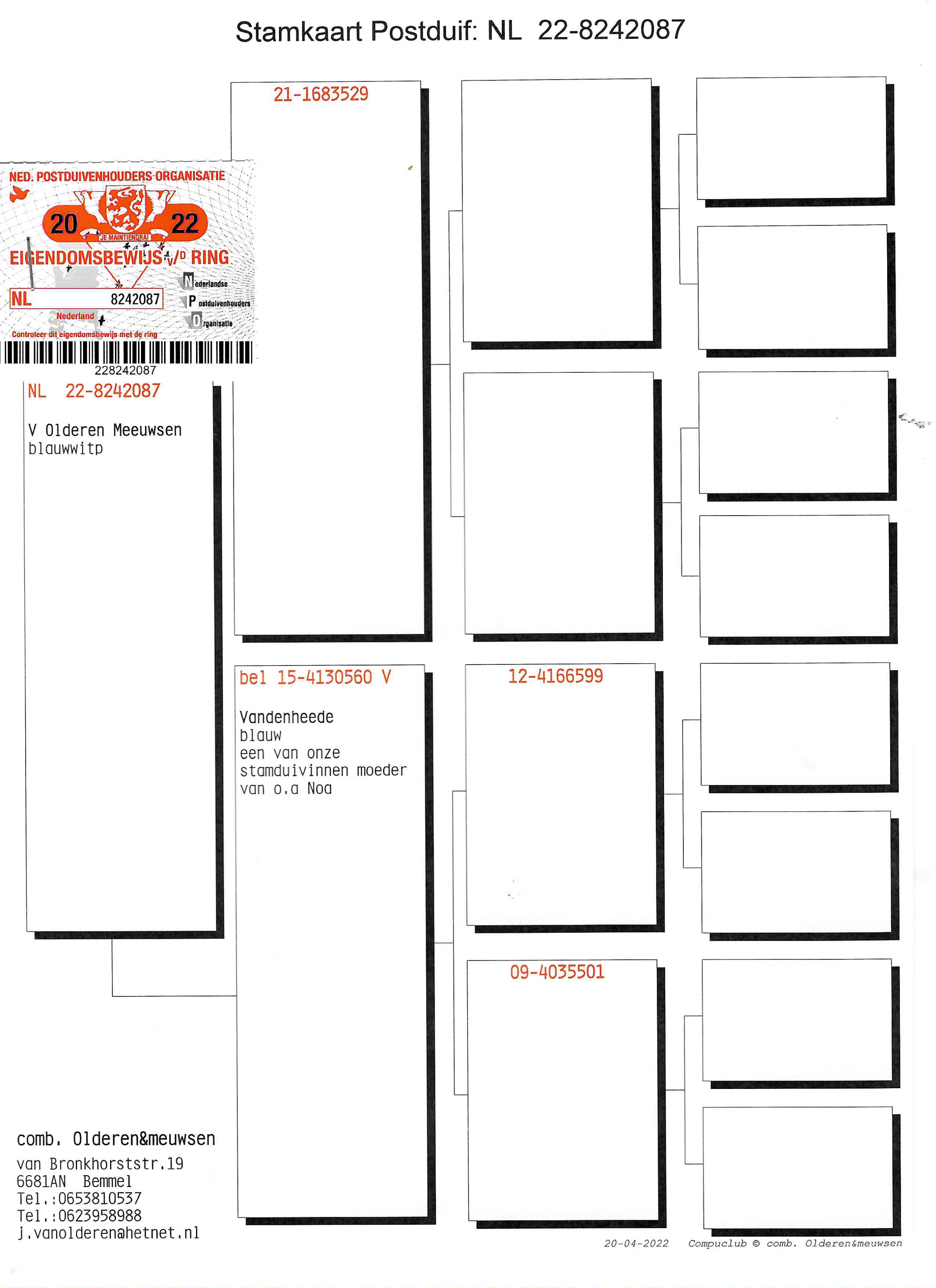 Pigeon pedigree image