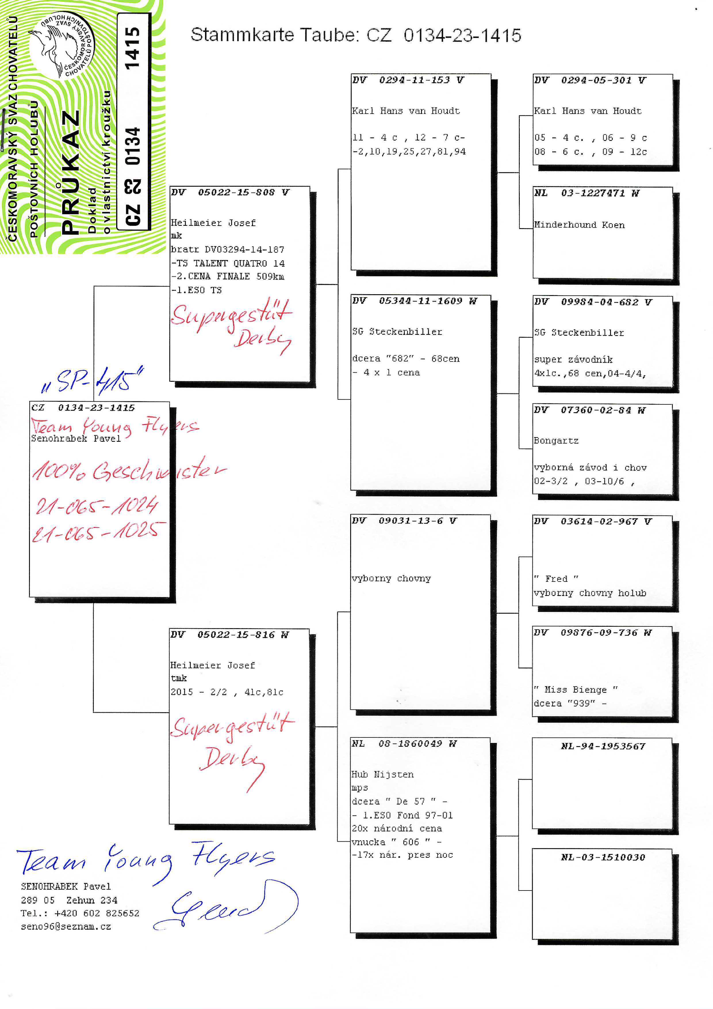 Pigeon pedigree image