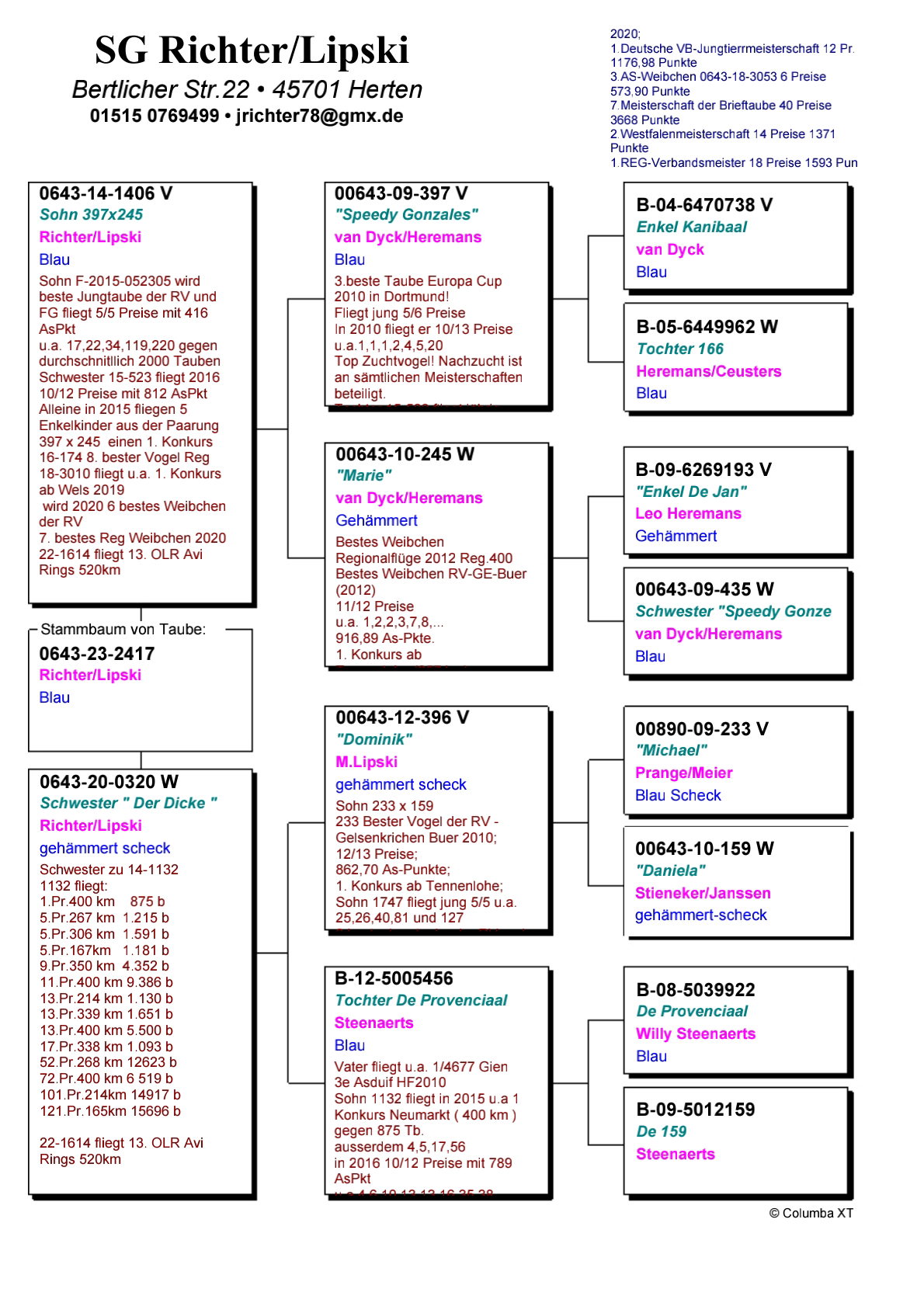 Pigeon pedigree image