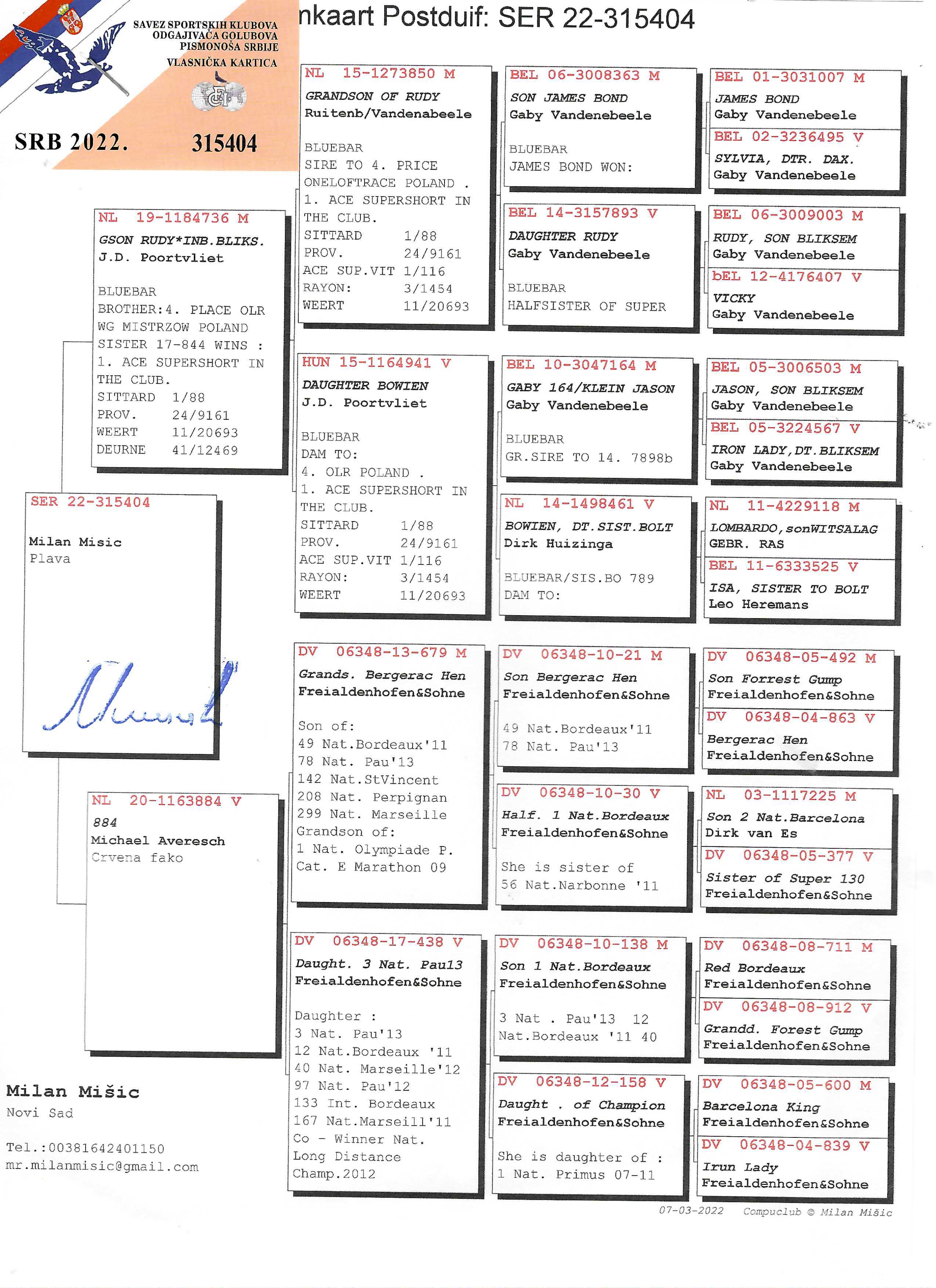 Pigeon pedigree image