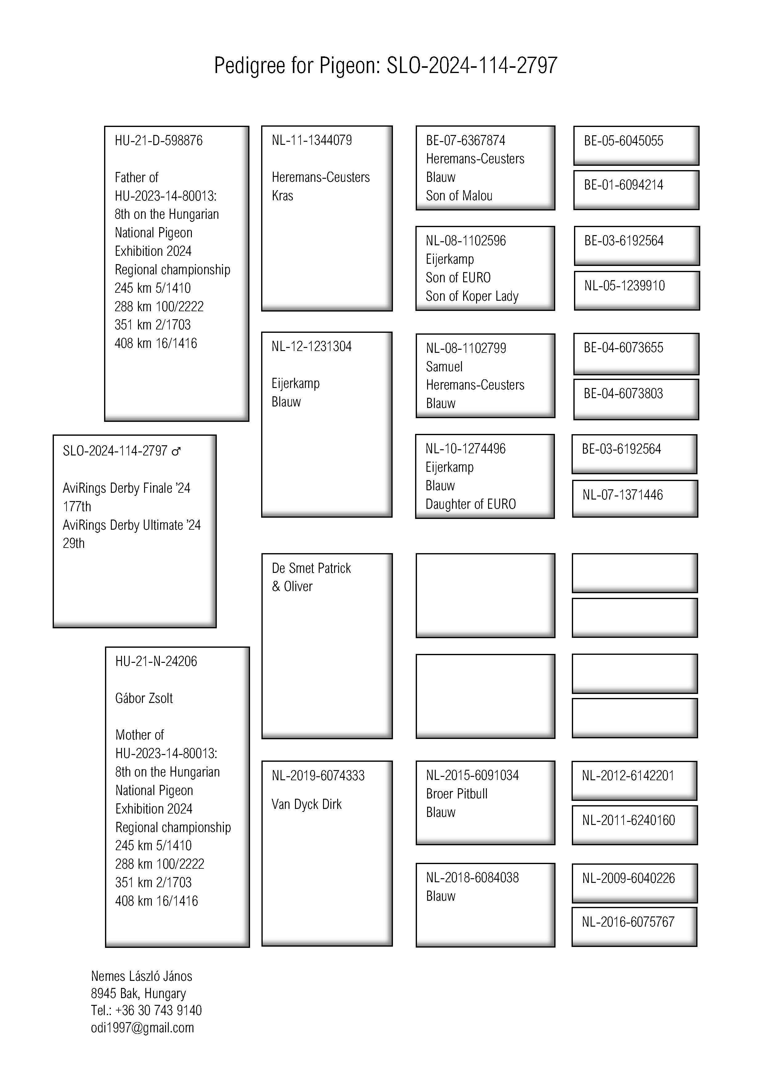 Pigeon pedigree image