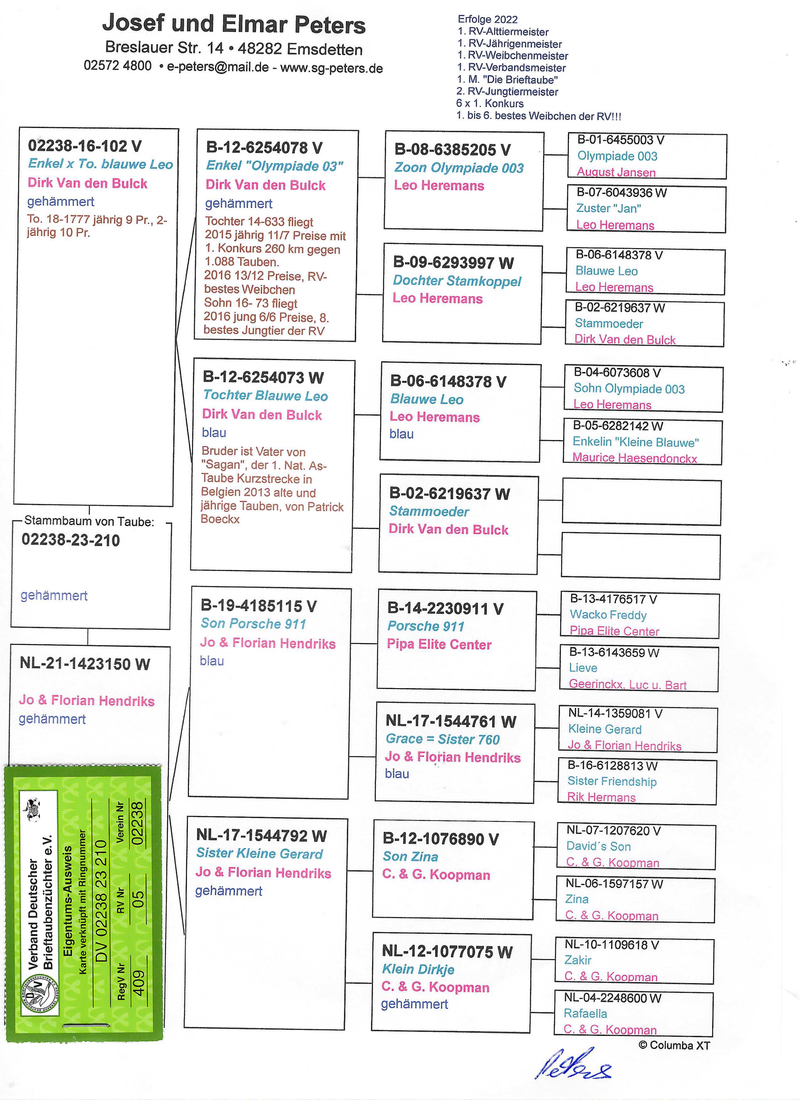 Pigeon pedigree image