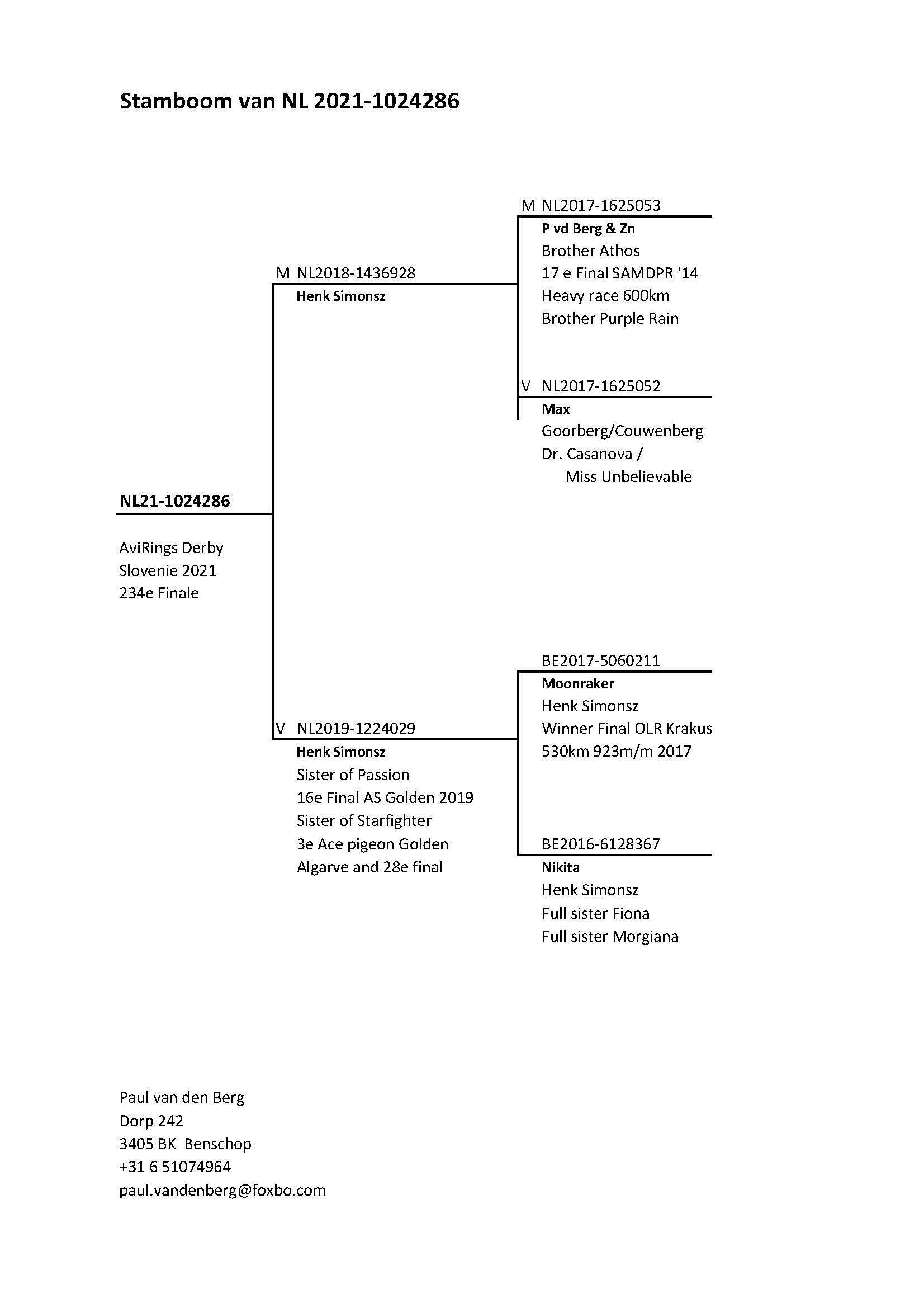 Pigeon pedigree image