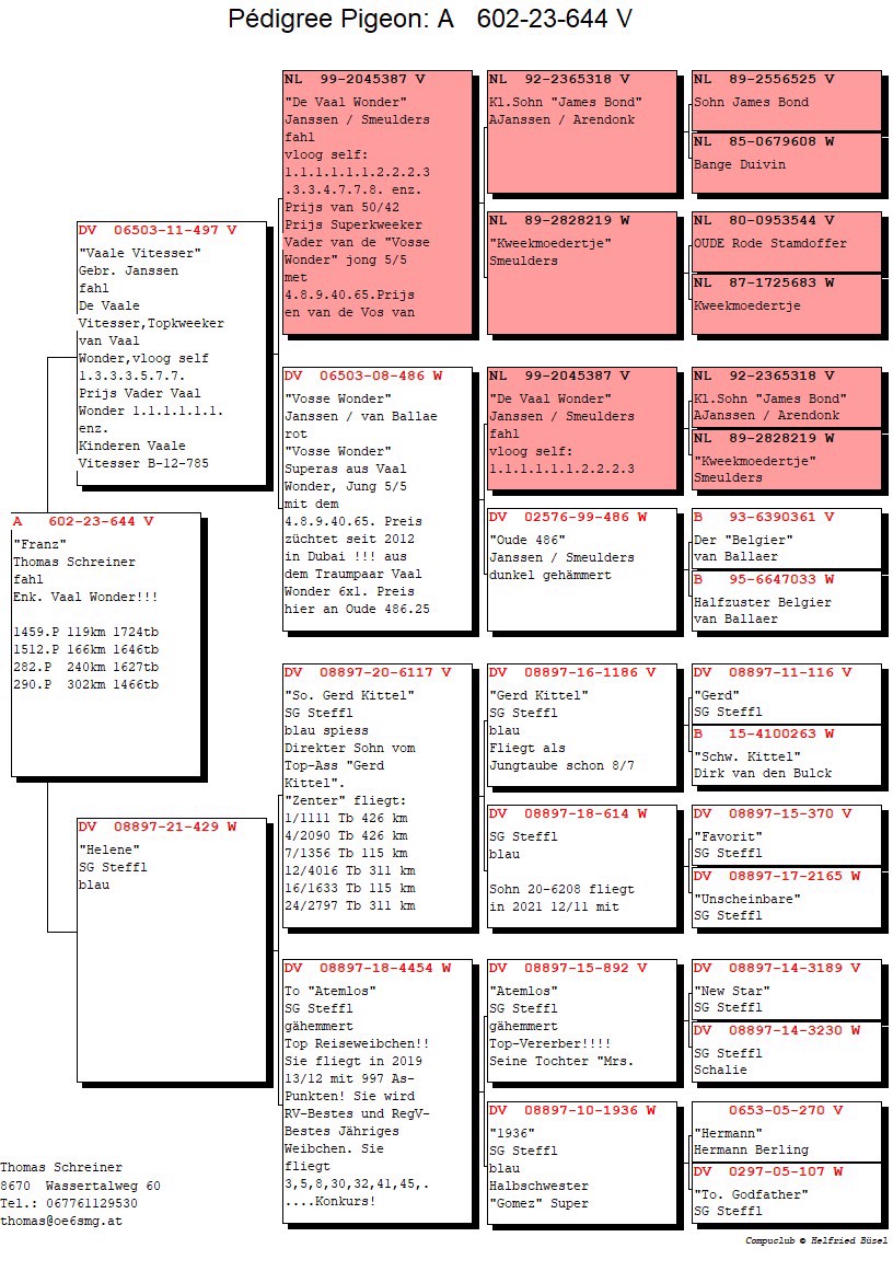 Pigeon pedigree image