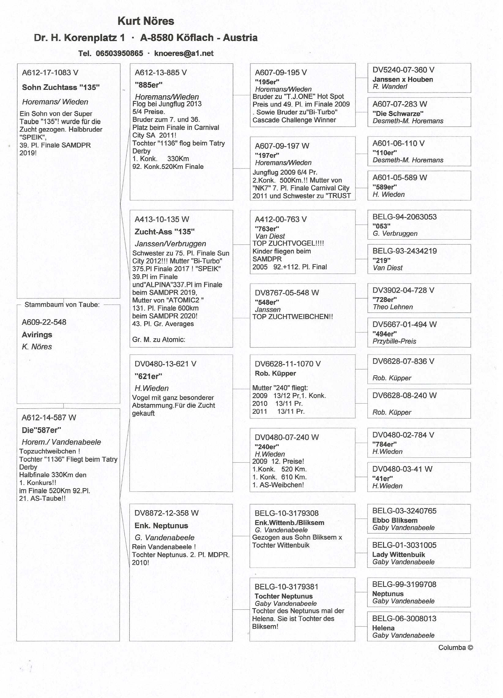 Pigeon pedigree image