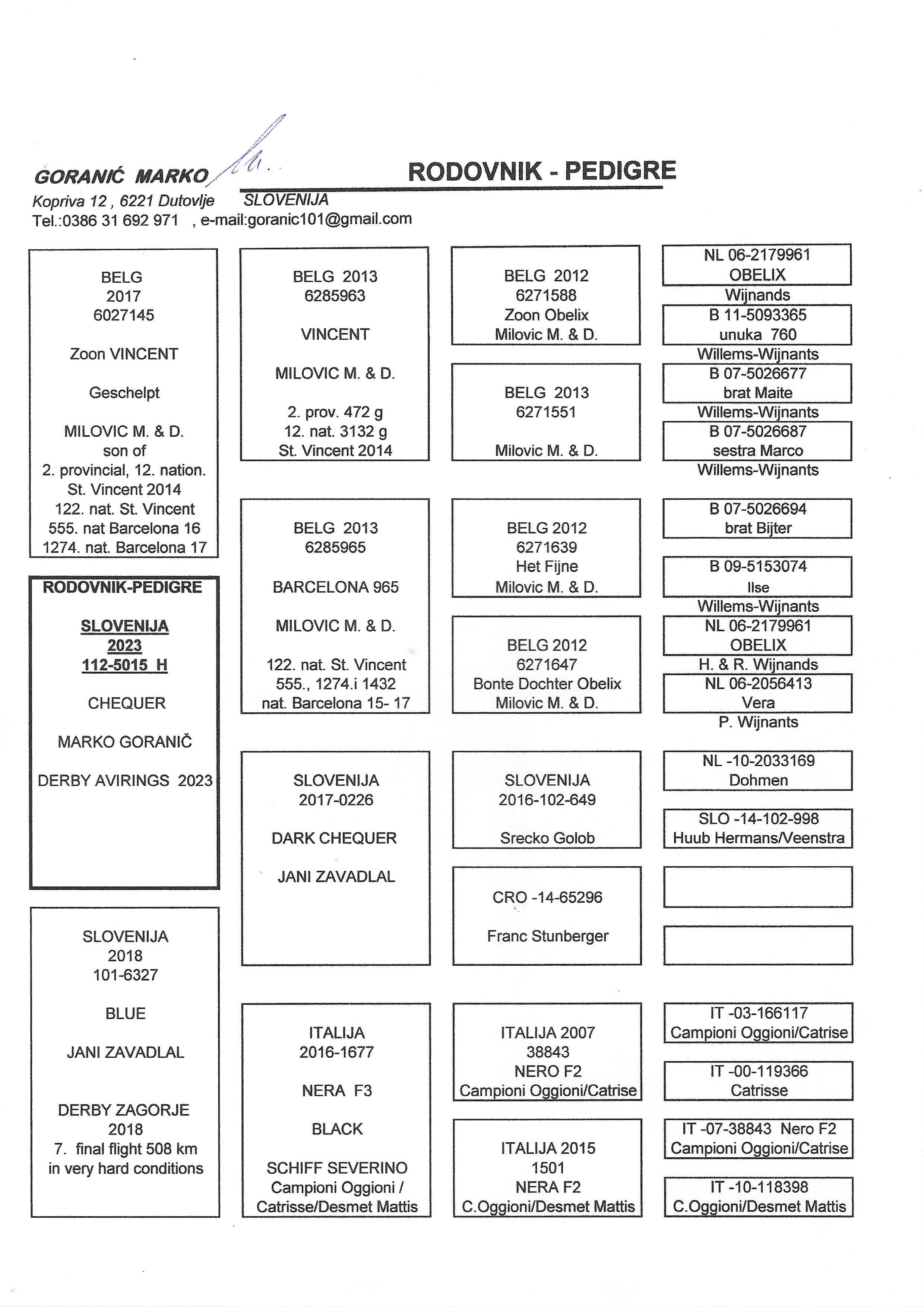 Pigeon pedigree image