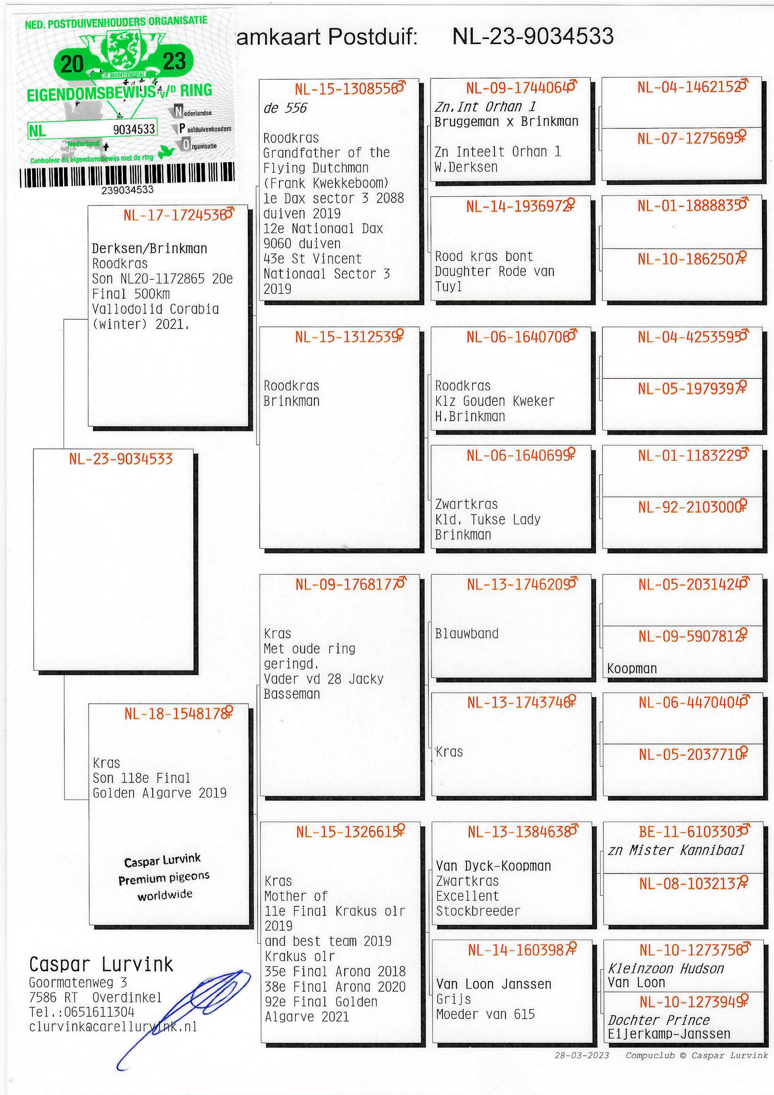 Pigeon pedigree image