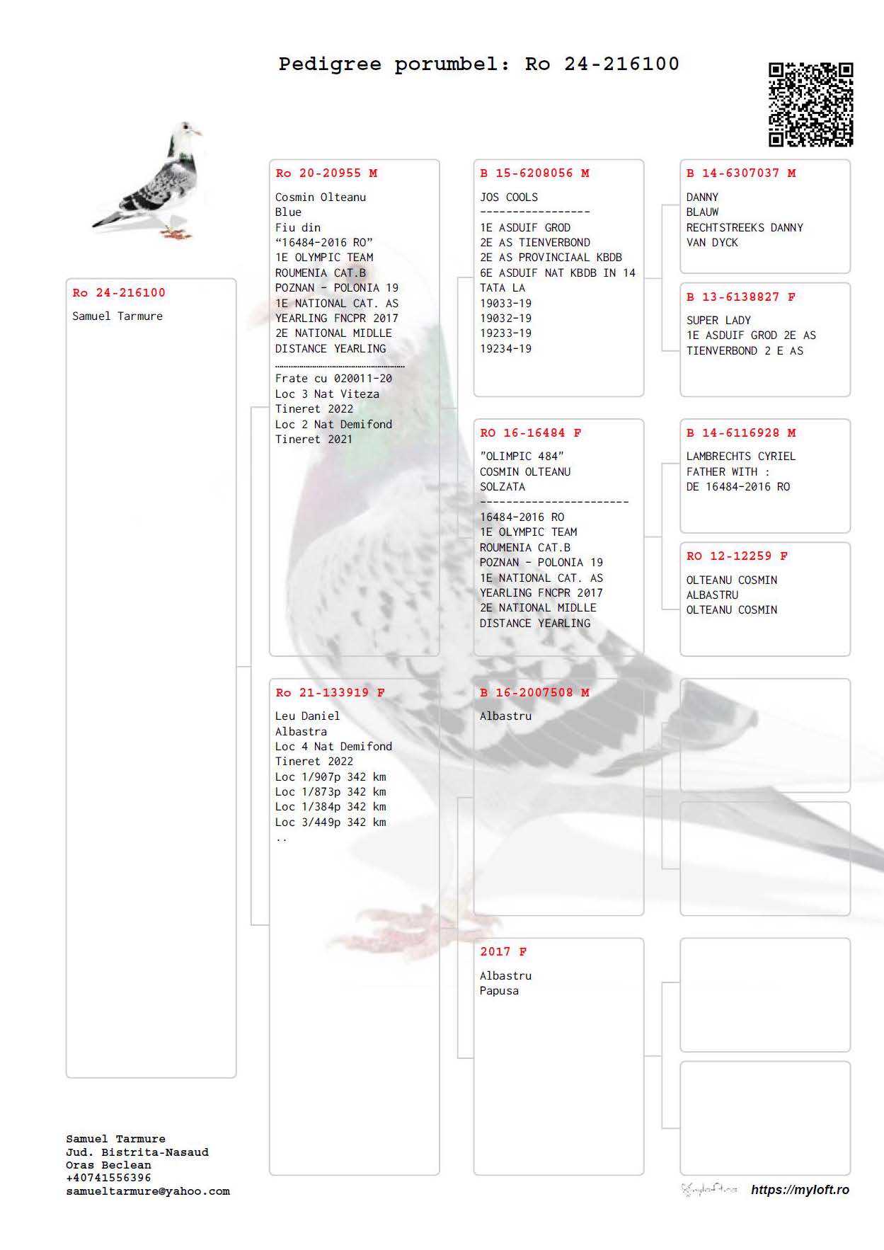 Pigeon pedigree image
