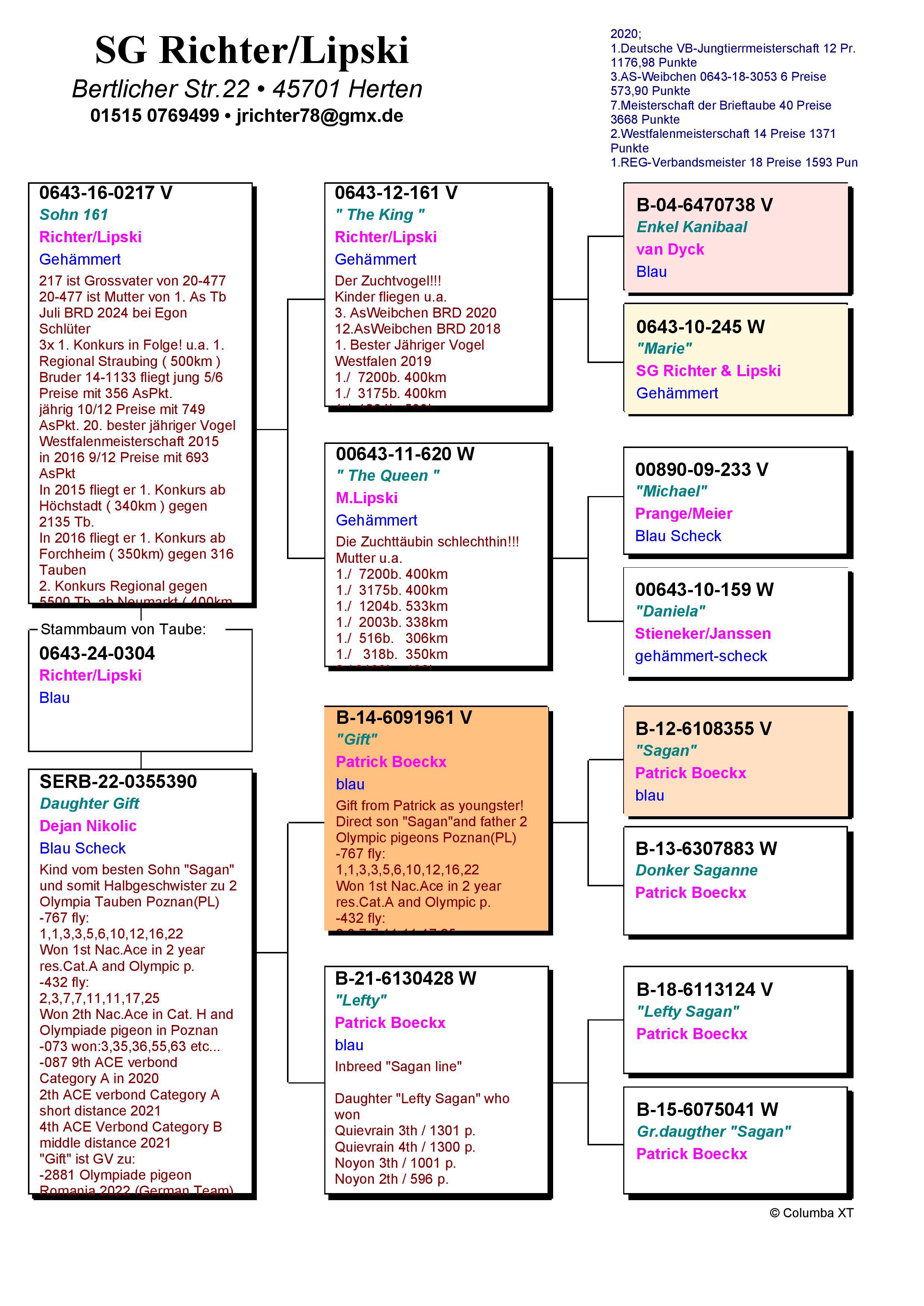 Pigeon pedigree image