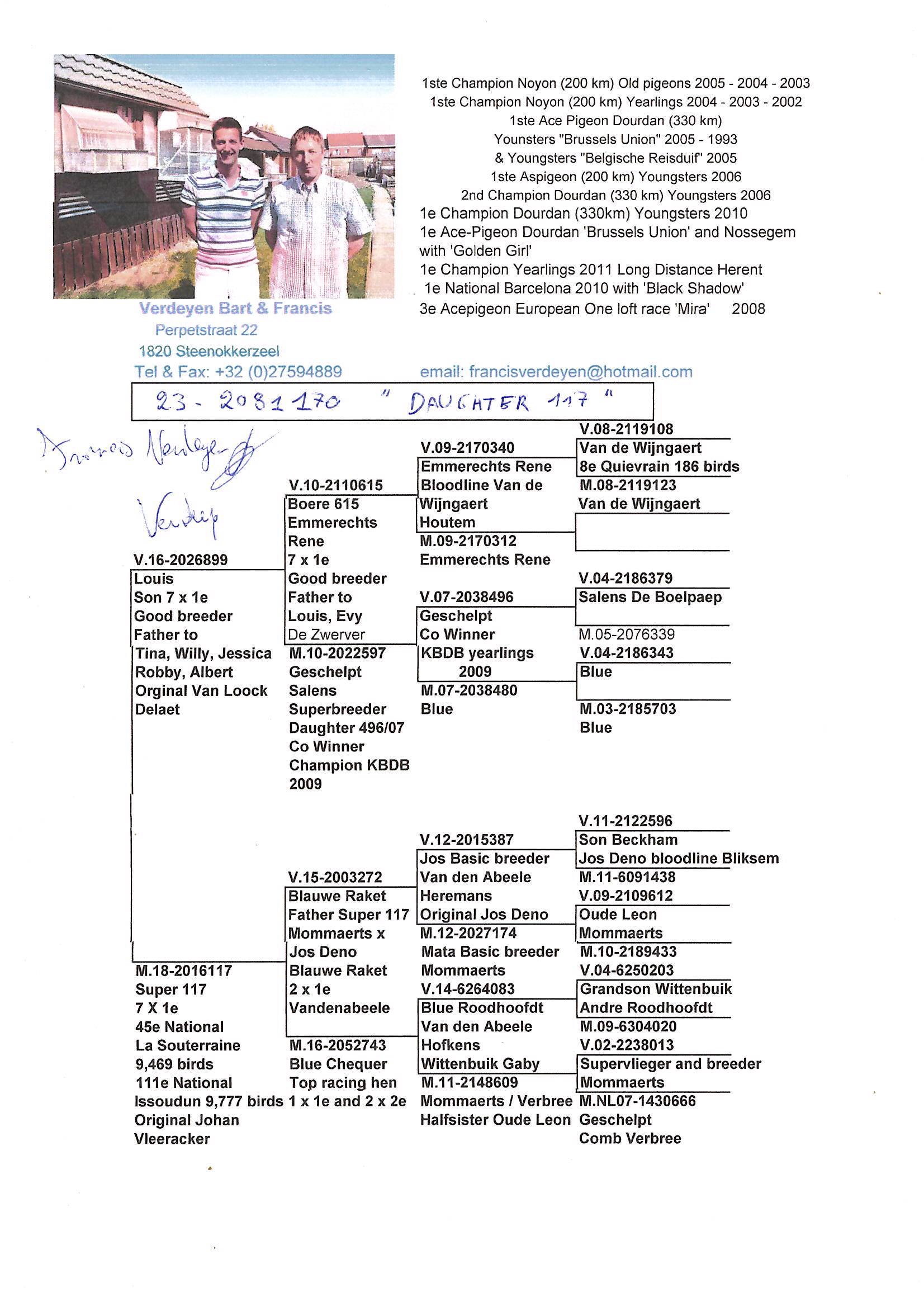 Pigeon pedigree image