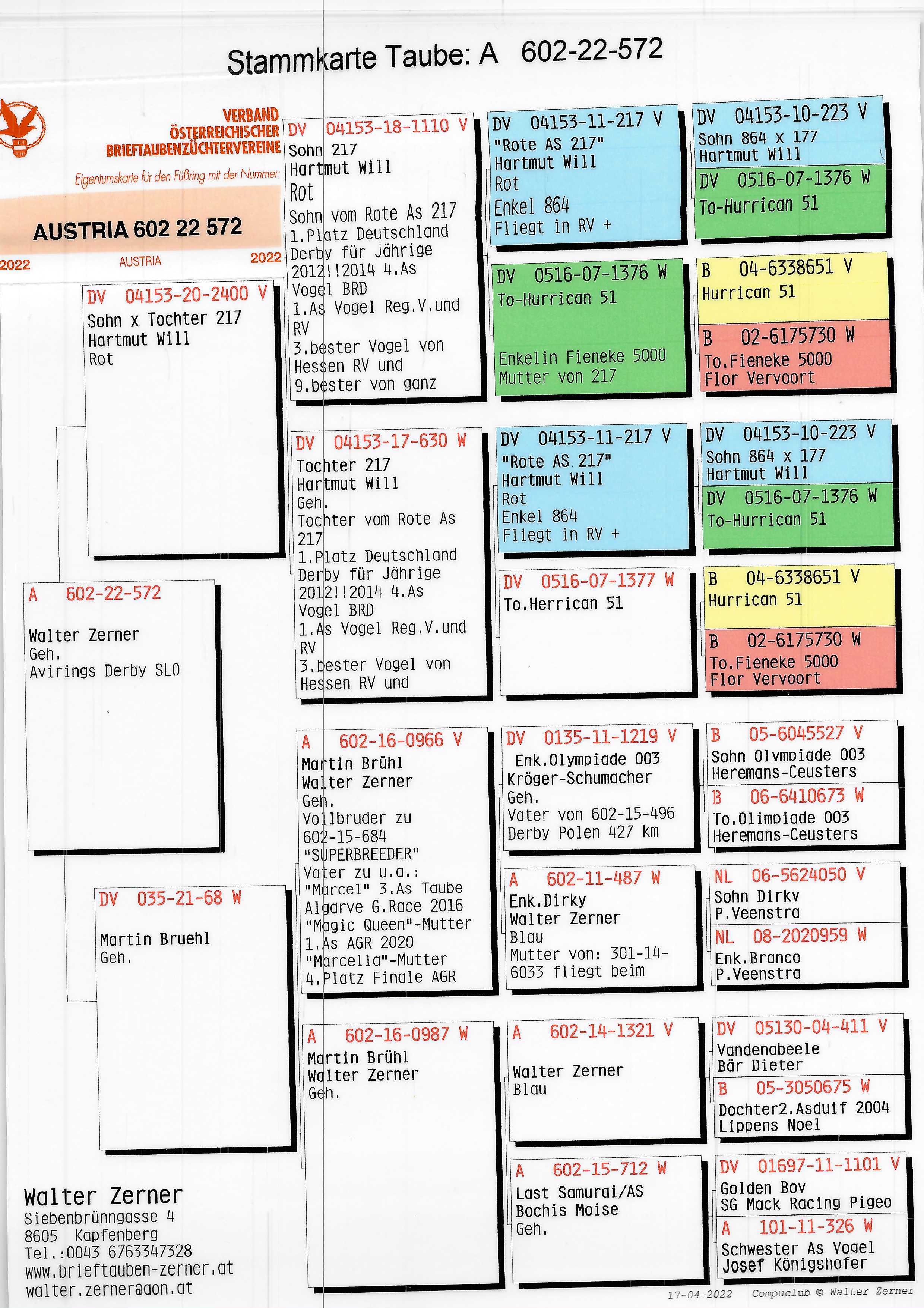 Pigeon pedigree image