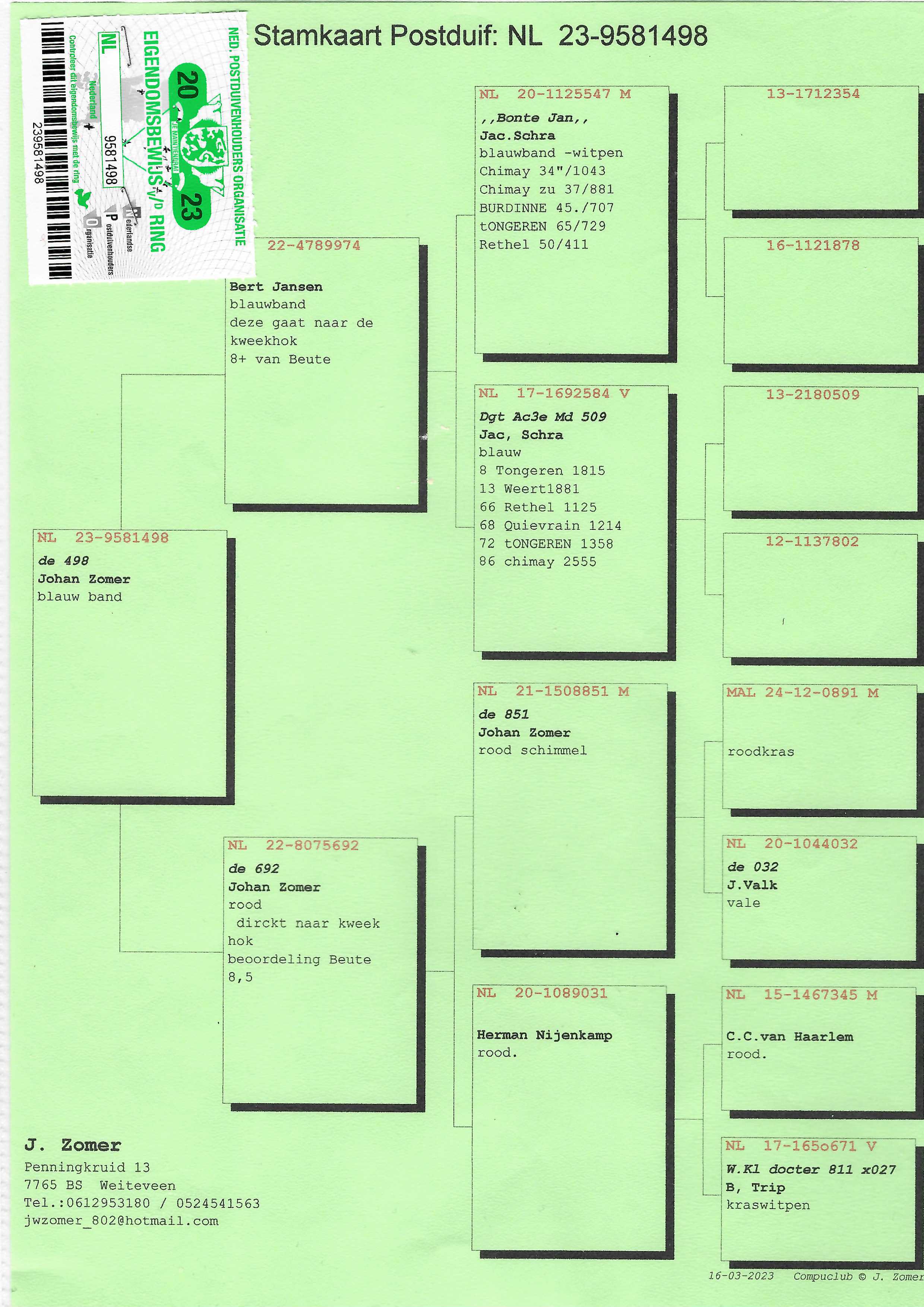 Pigeon pedigree image