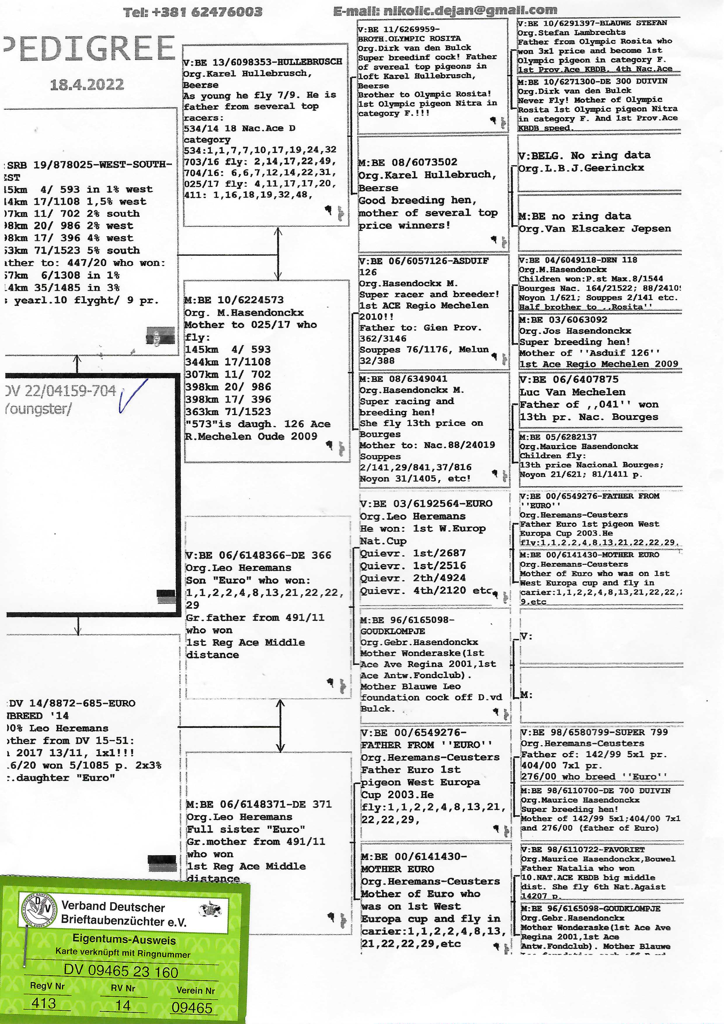 Pigeon pedigree image