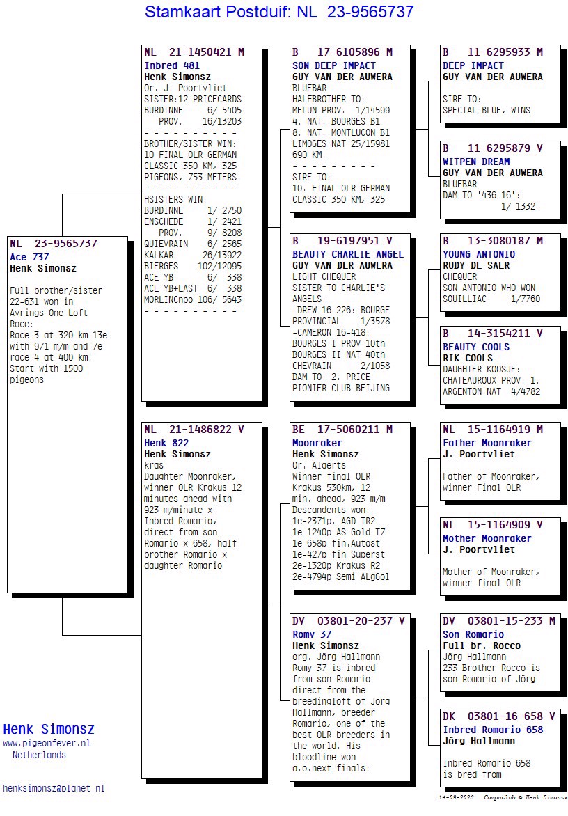 Pigeon pedigree image