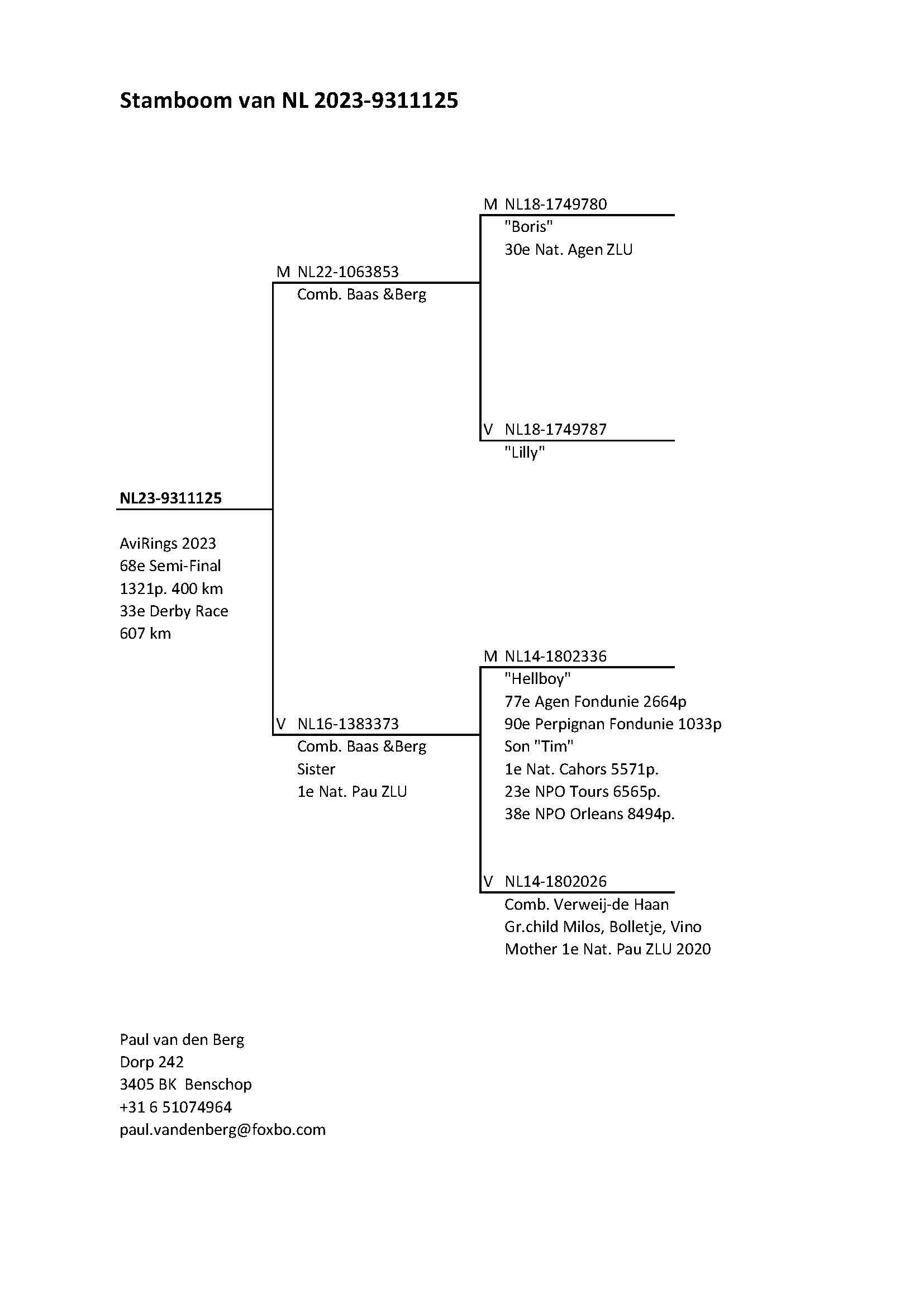 Pigeon pedigree image