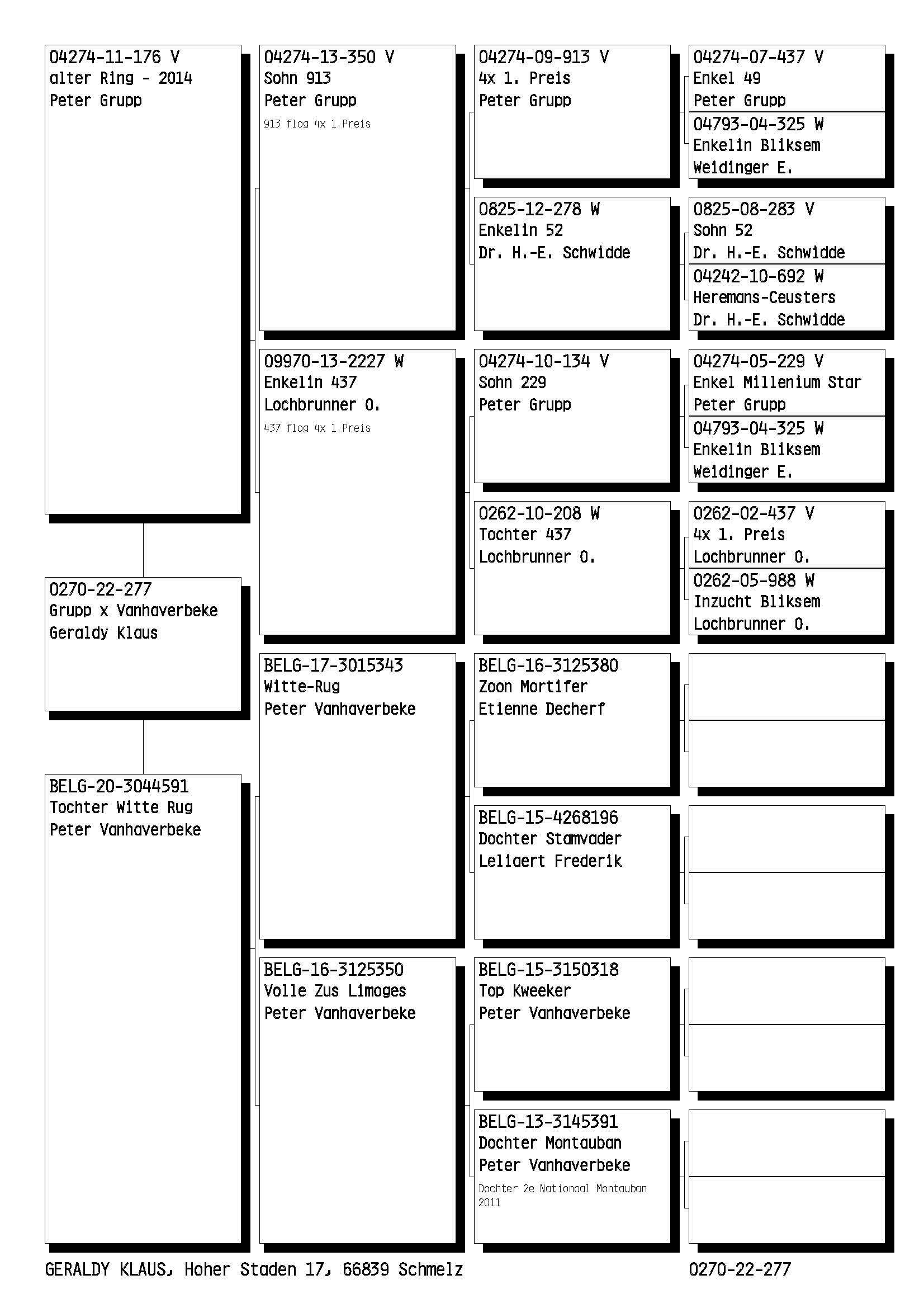 Pigeon pedigree image