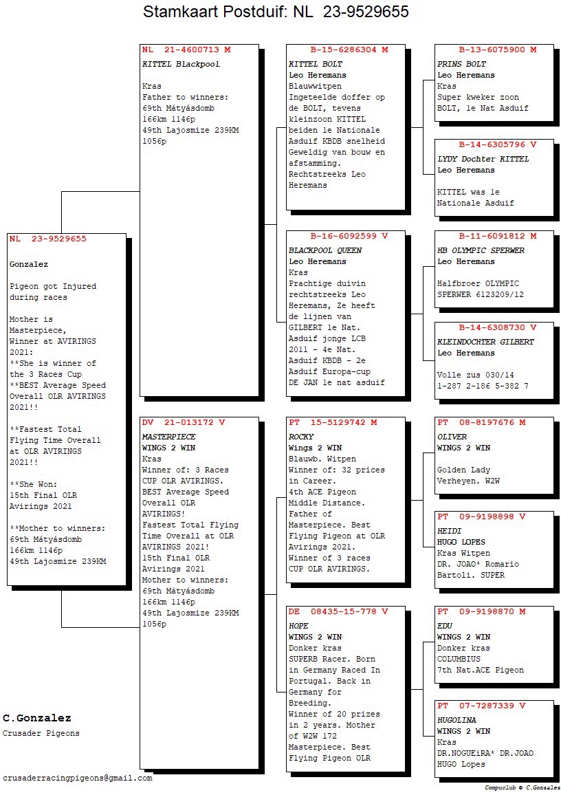 Pigeon pedigree image