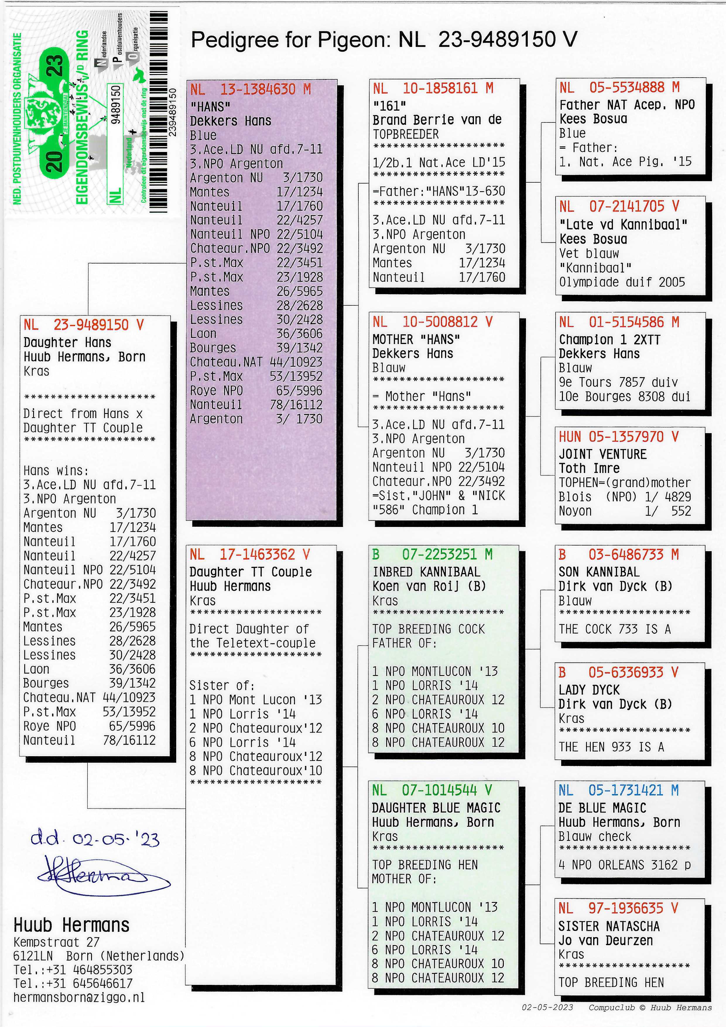 Pigeon pedigree image