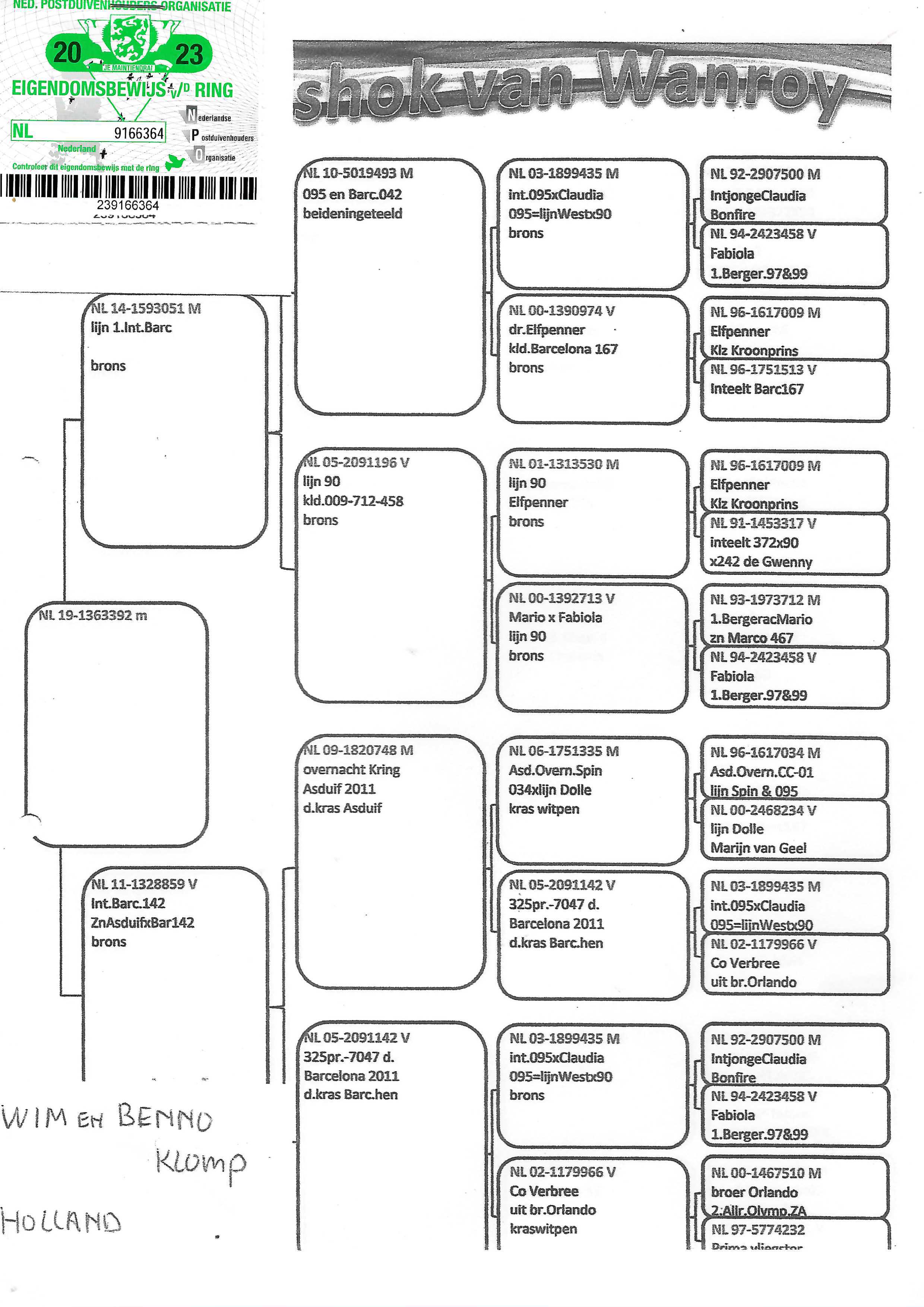 Pigeon pedigree image