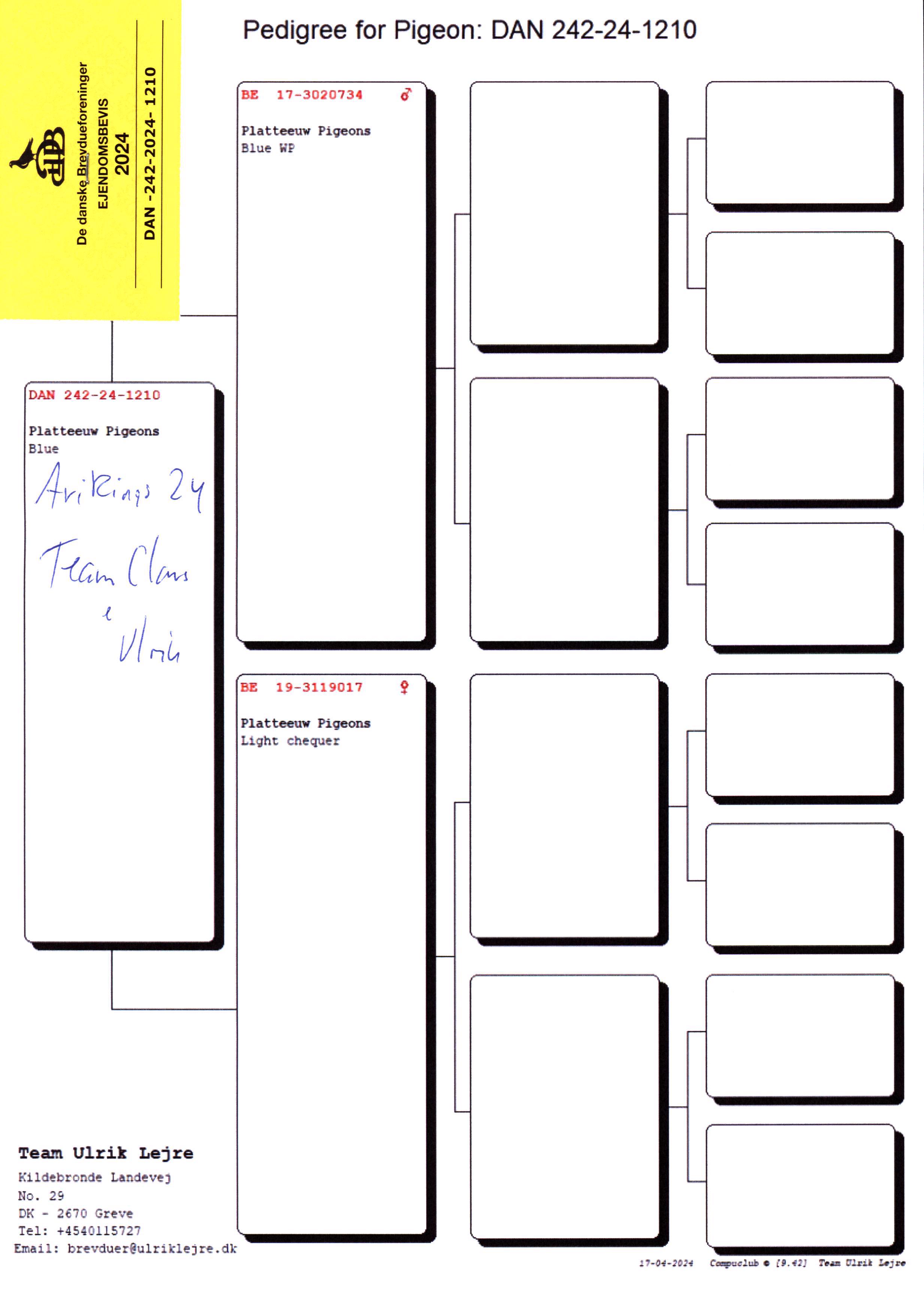 Pigeon pedigree image