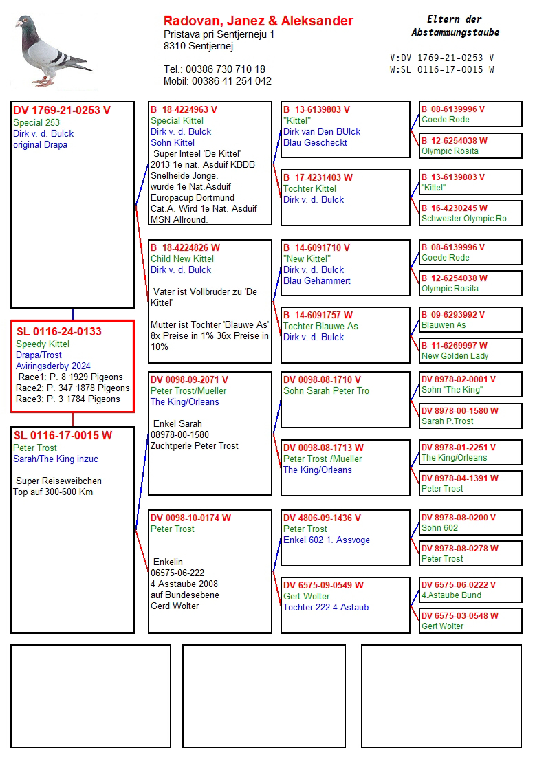 Pigeon pedigree image
