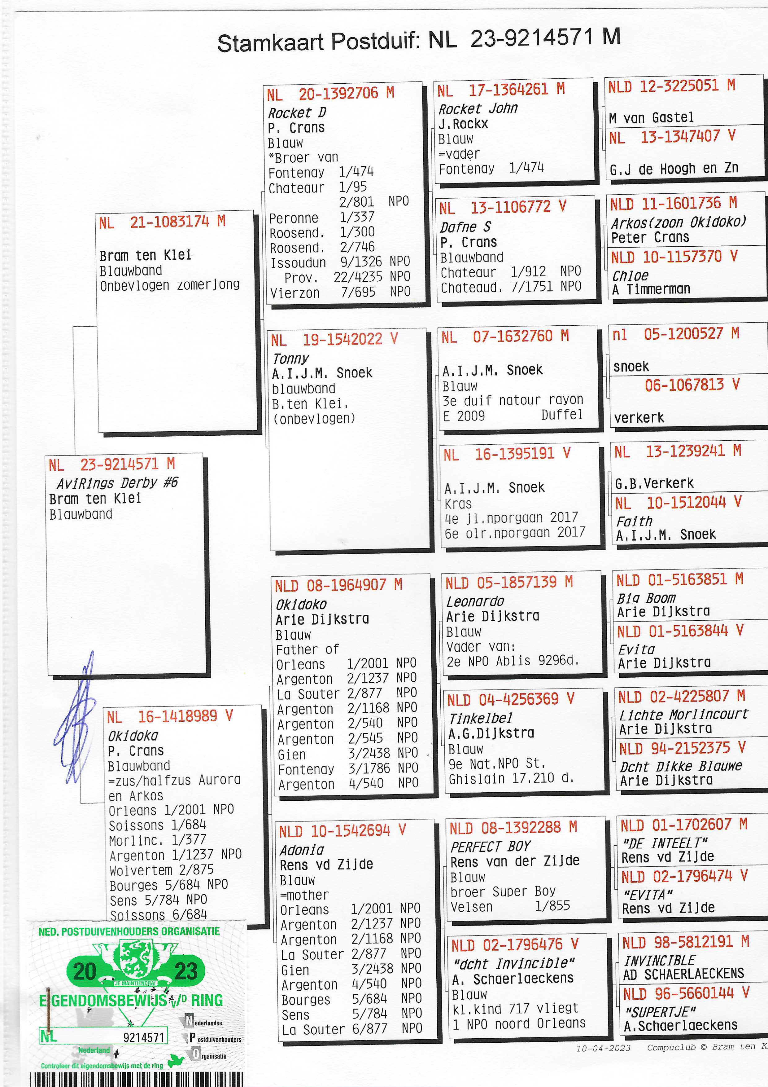 Pigeon pedigree image